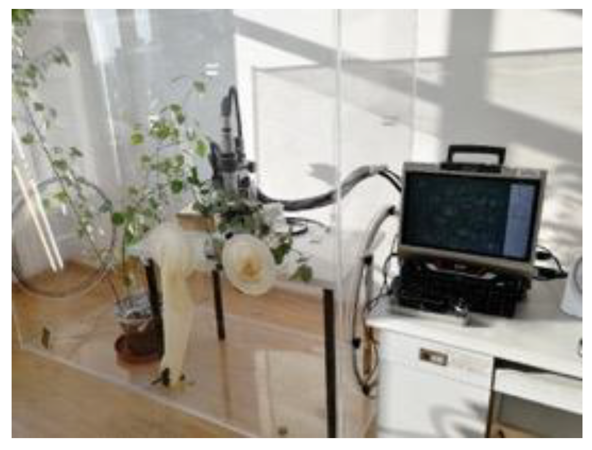 Forests 11 00954 g001 Forests 11 00954 g001