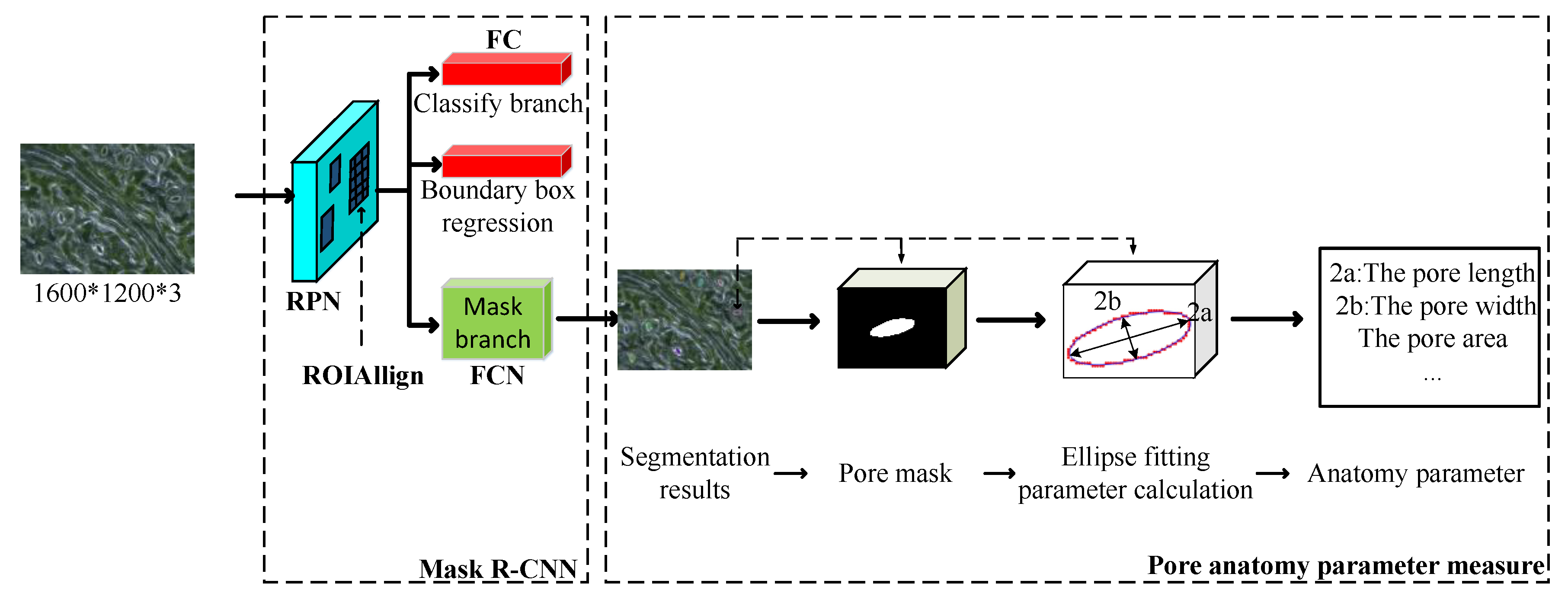 Forests 11 00954 g003 Forests 11 00954 g003
