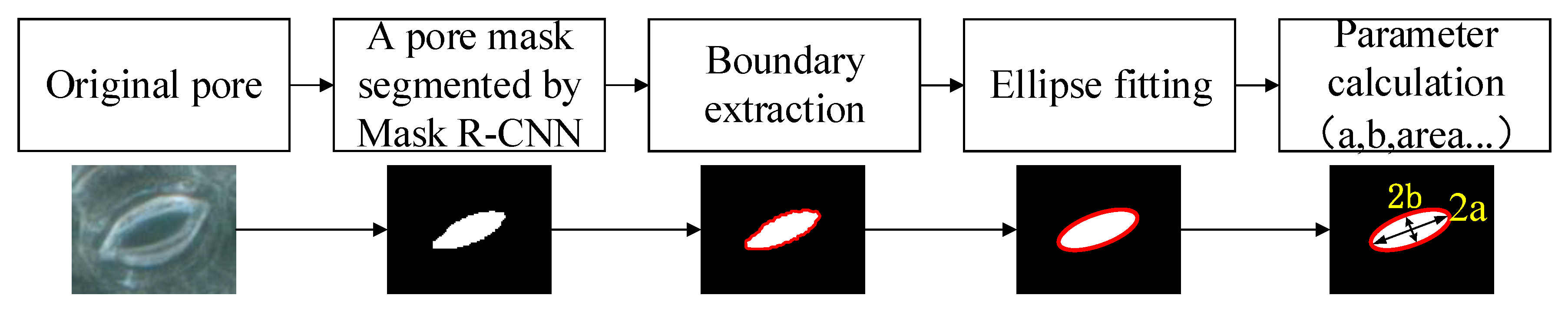 Forests 11 00954 g006 Forests 11 00954 g006