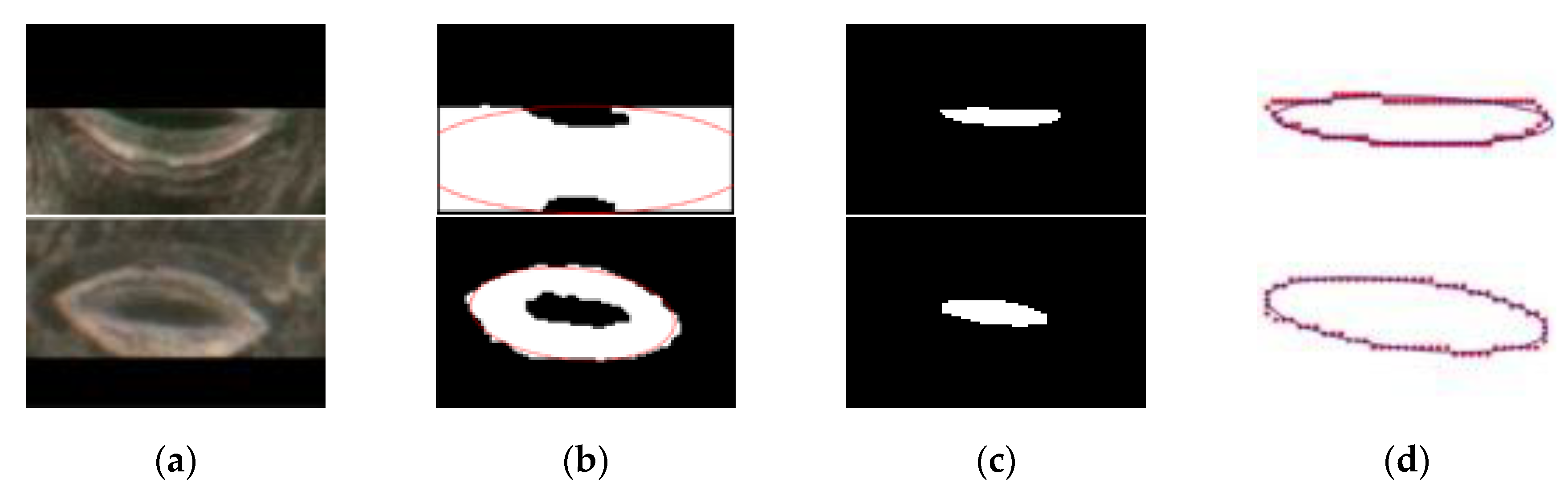 Forests 11 00954 g010 Forests 11 00954 g010