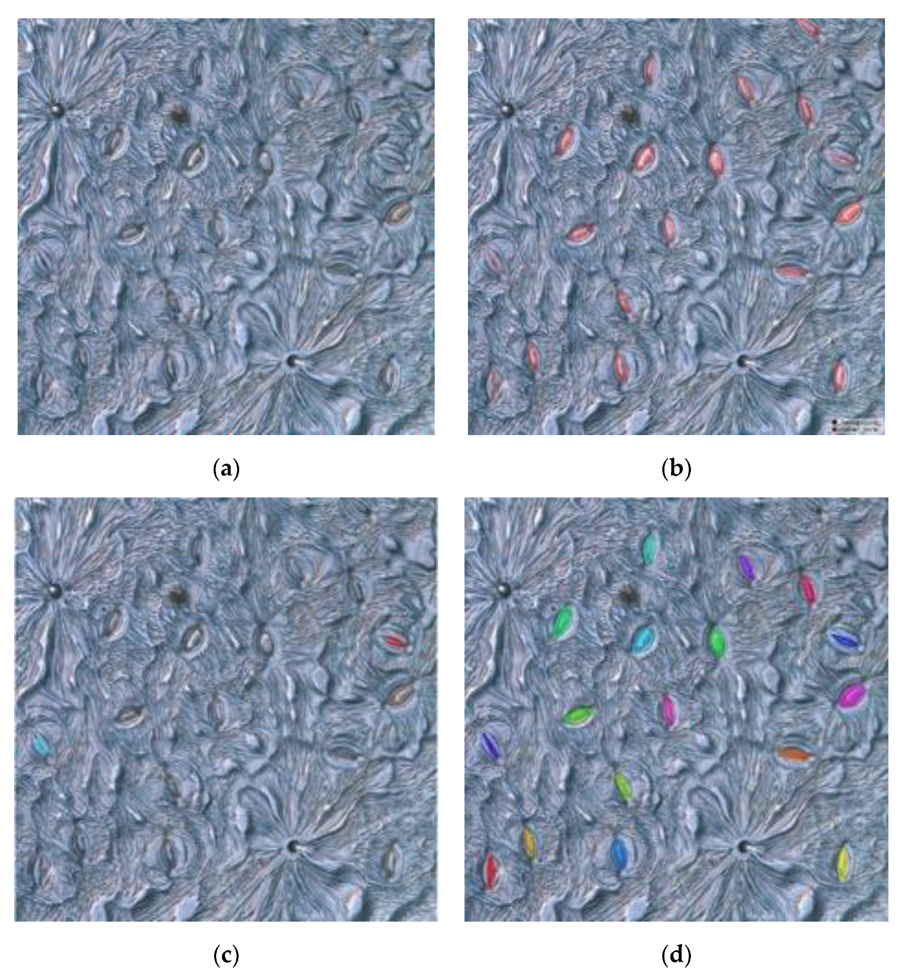 Forests 11 00954 g011 Forests 11 00954 g011