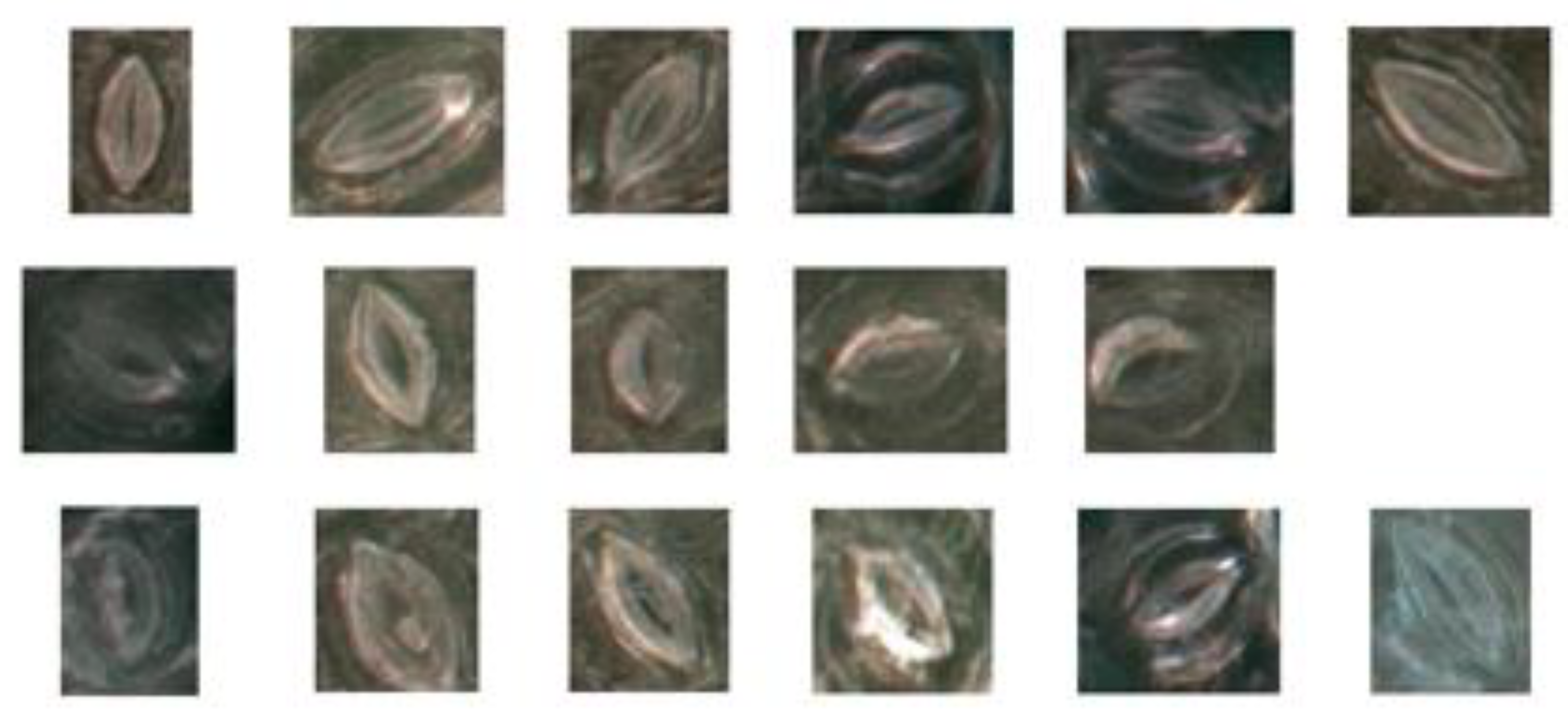 Forests 11 00954 g013 Forests 11 00954 g013