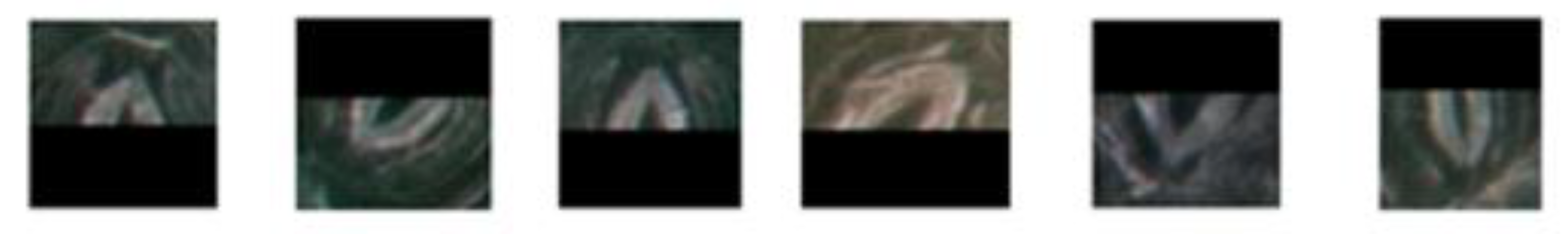 Forests 11 00954 g014 Forests 11 00954 g014