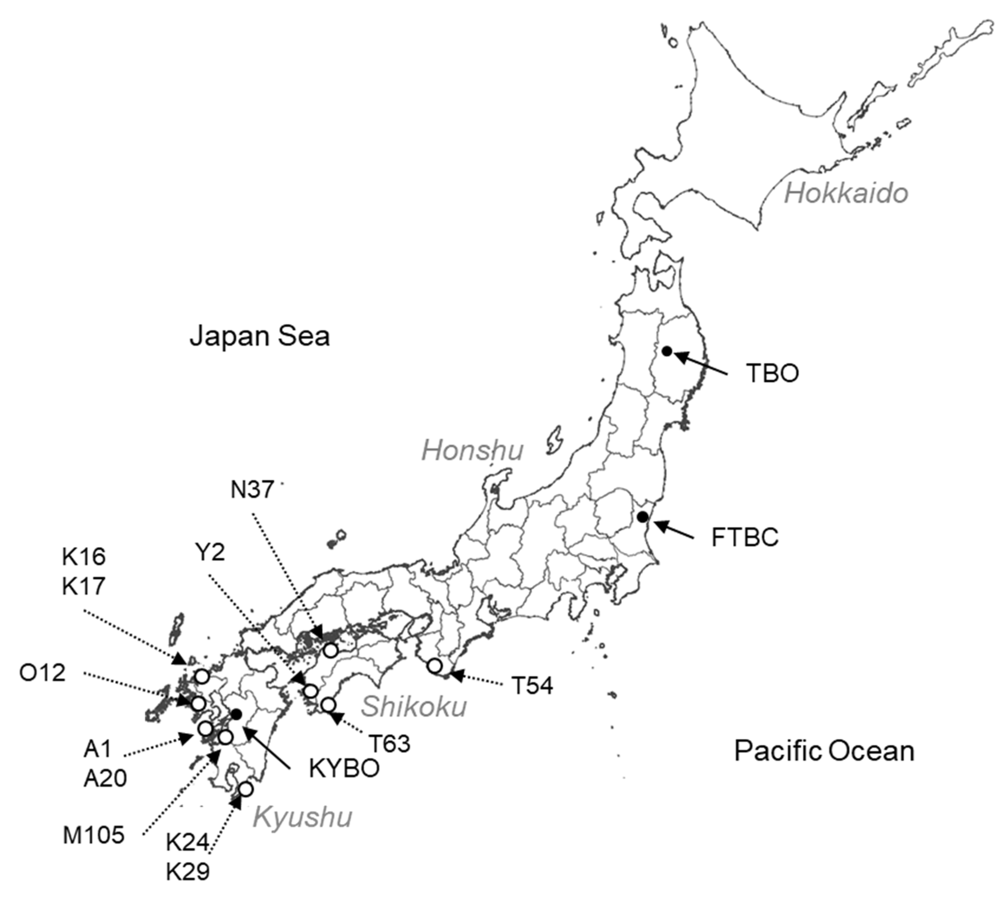 Forests 11 00955 g001 Forests 11 00955 g001