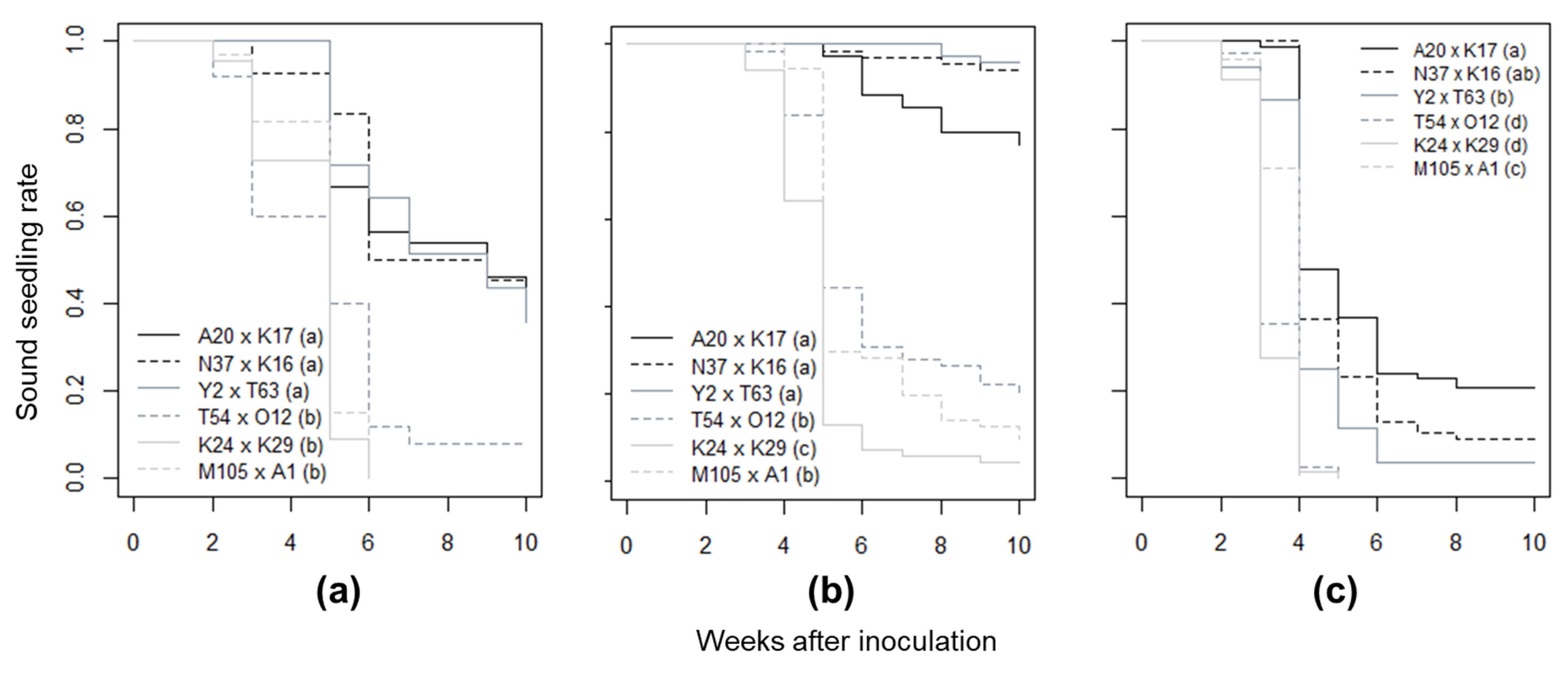 Forests 11 00955 g004 Forests 11 00955 g004
