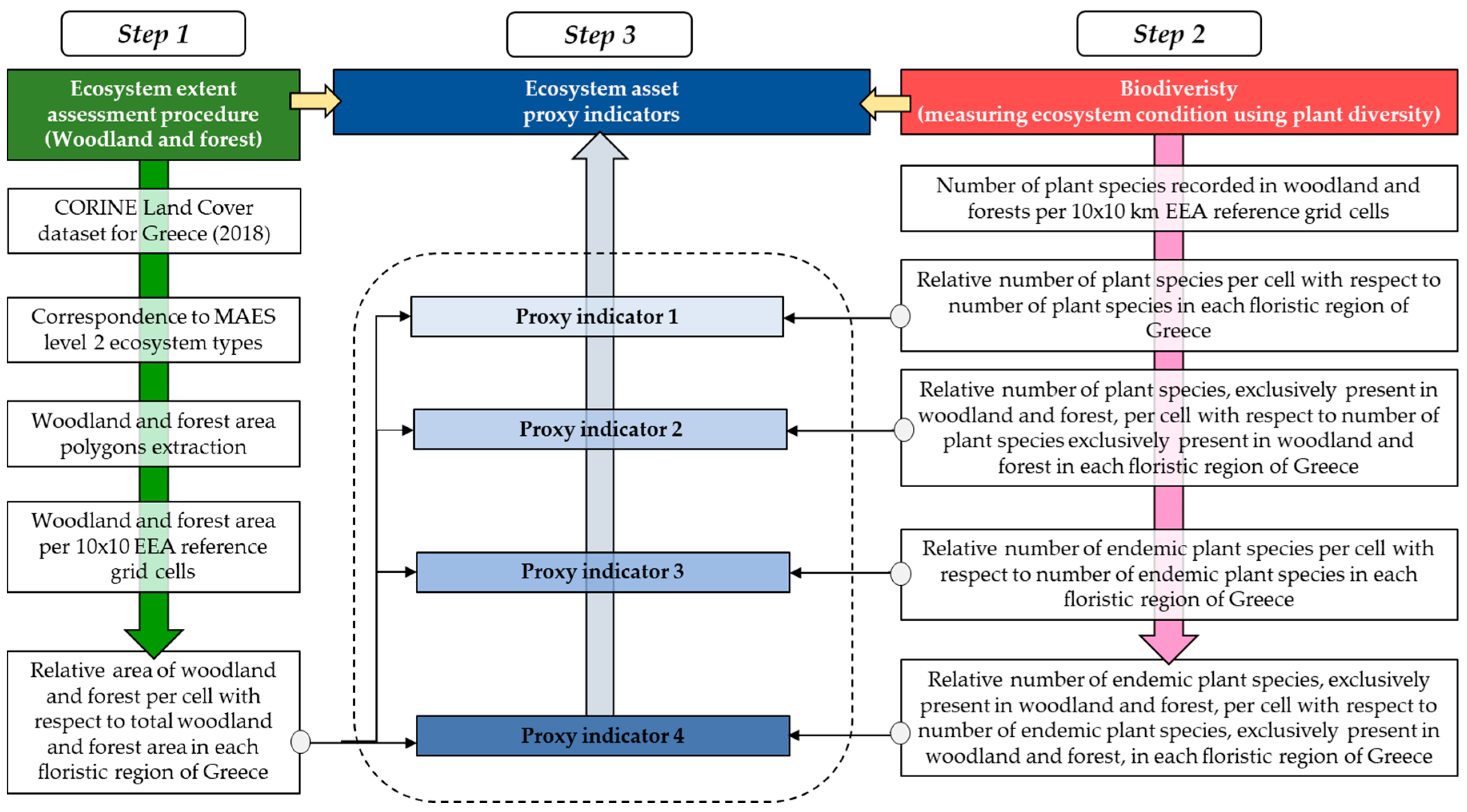 Forests 11 00956 g002 Forests 11 00956 g002