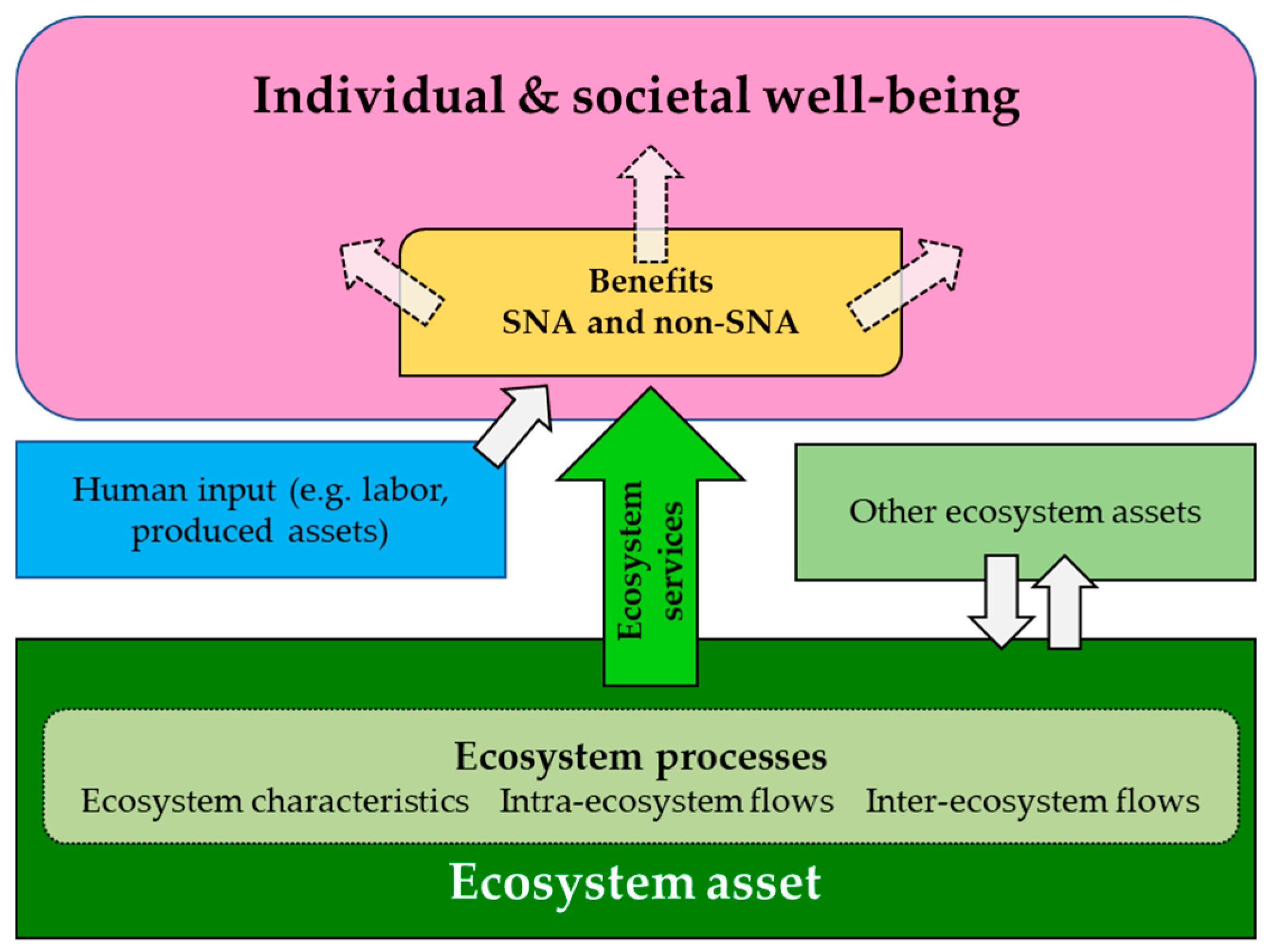 Forests 11 00956 g007 Forests 11 00956 g007