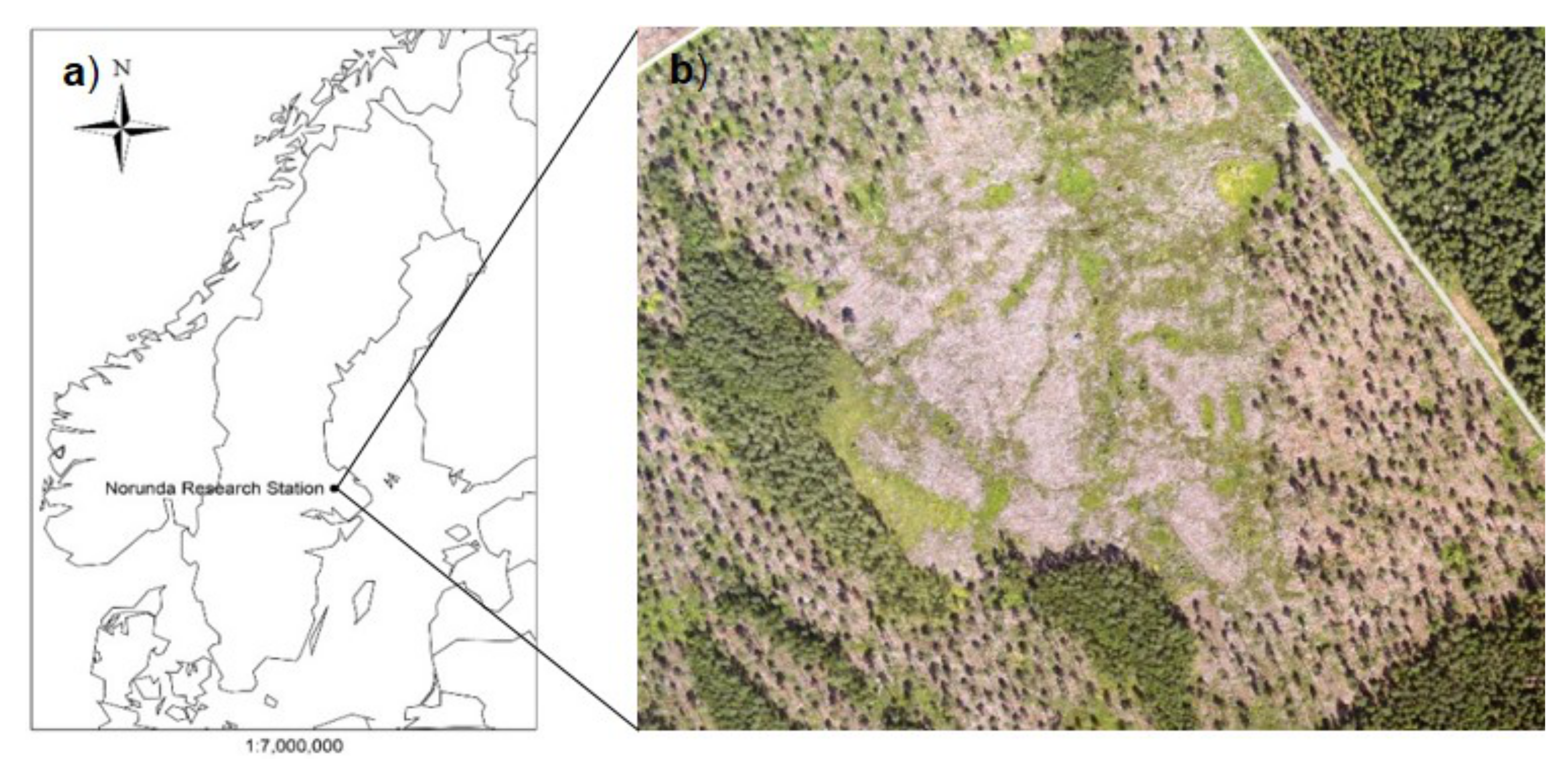 Forests 11 00961 g001