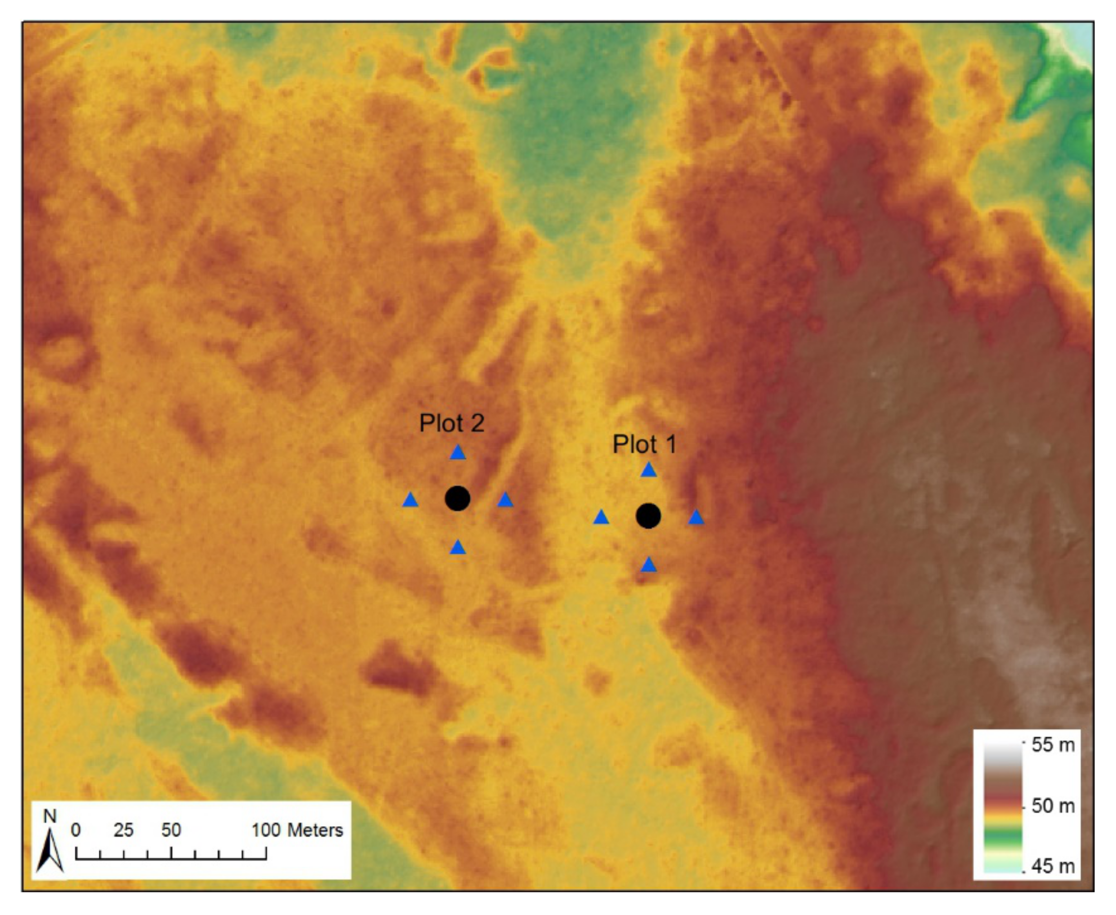 Forests 11 00961 g002
