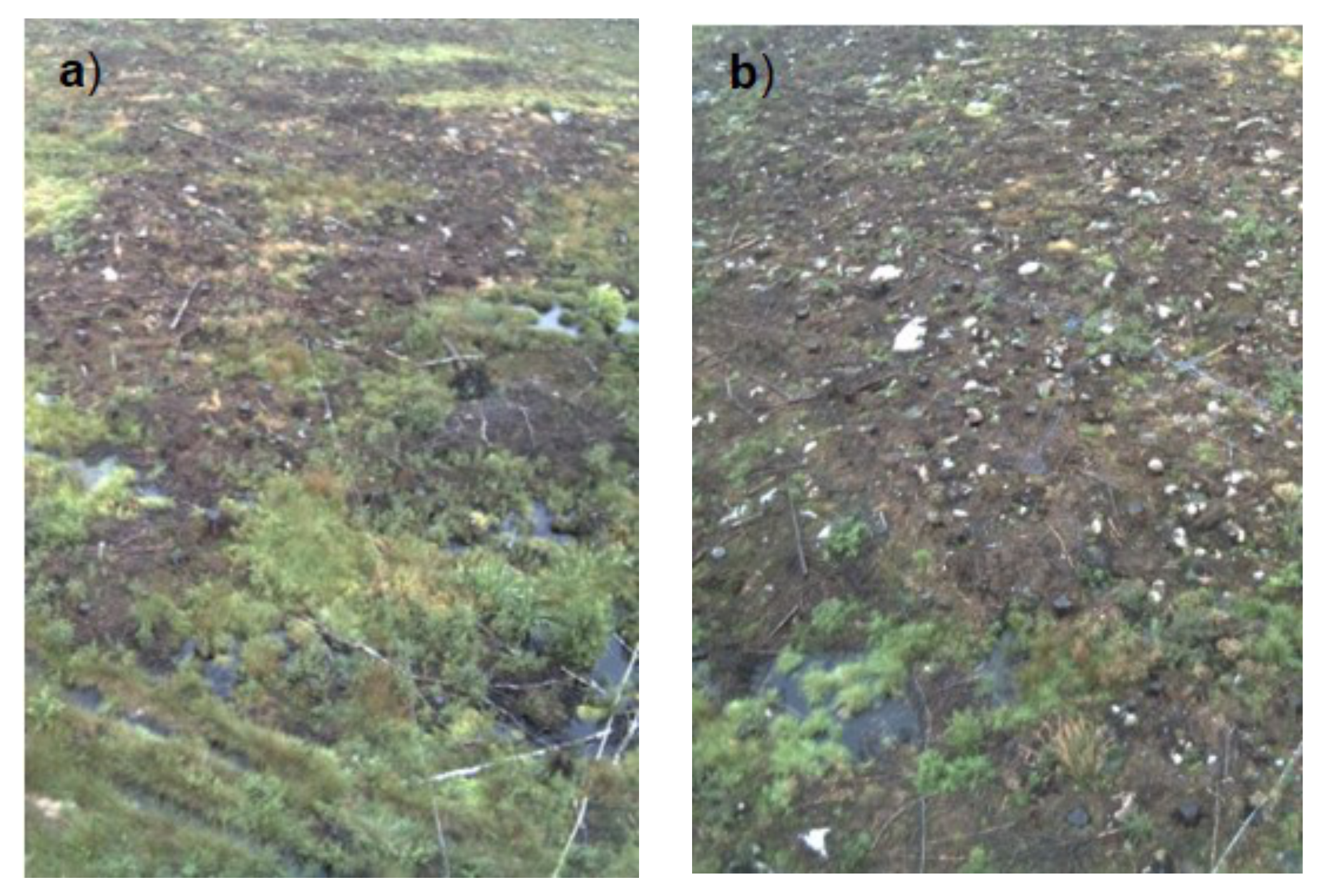 Forests 11 00961 g003