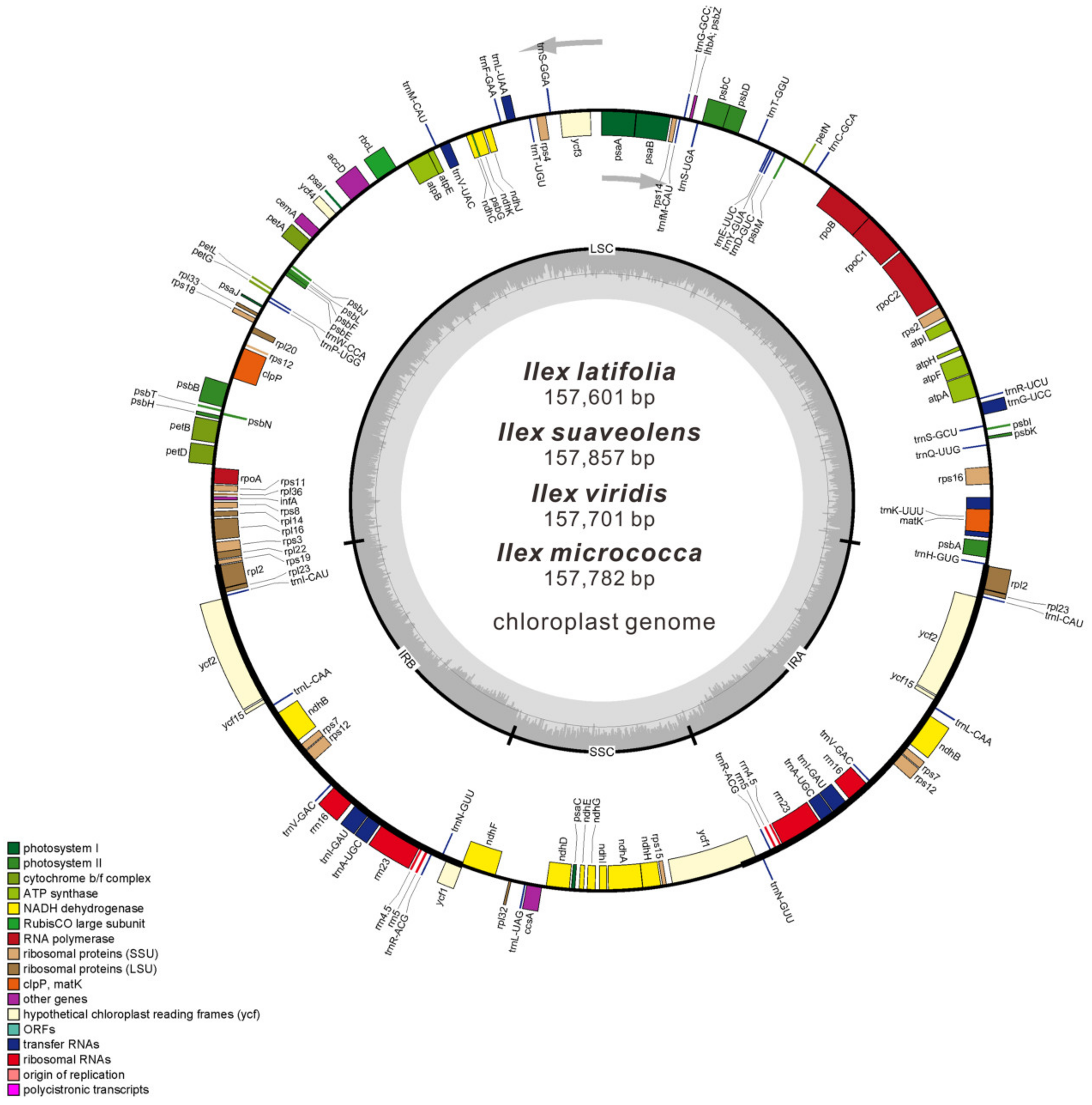 Forests 11 00964 g002 Forests 11 00964 g002