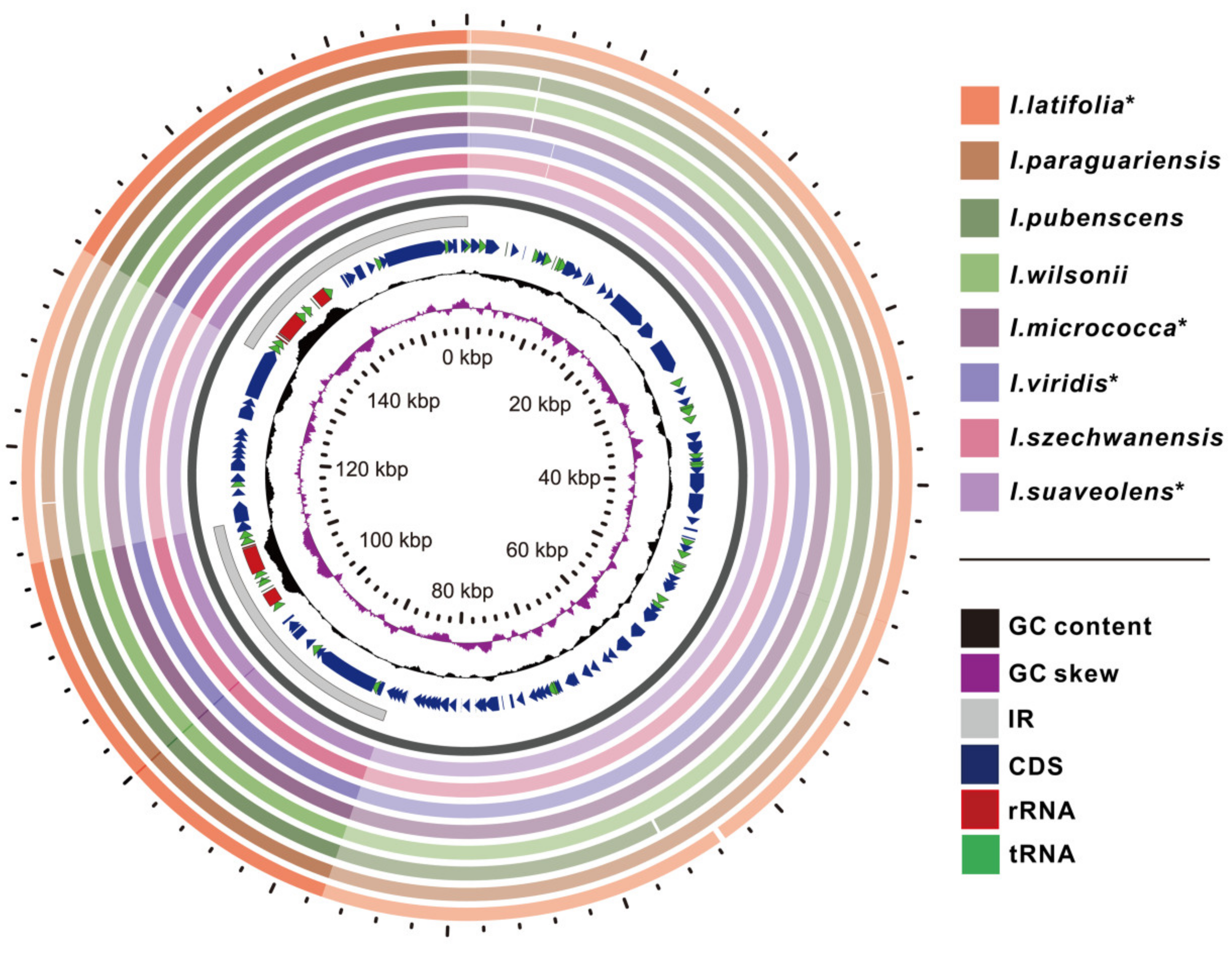 Forests 11 00964 g003 Forests 11 00964 g003