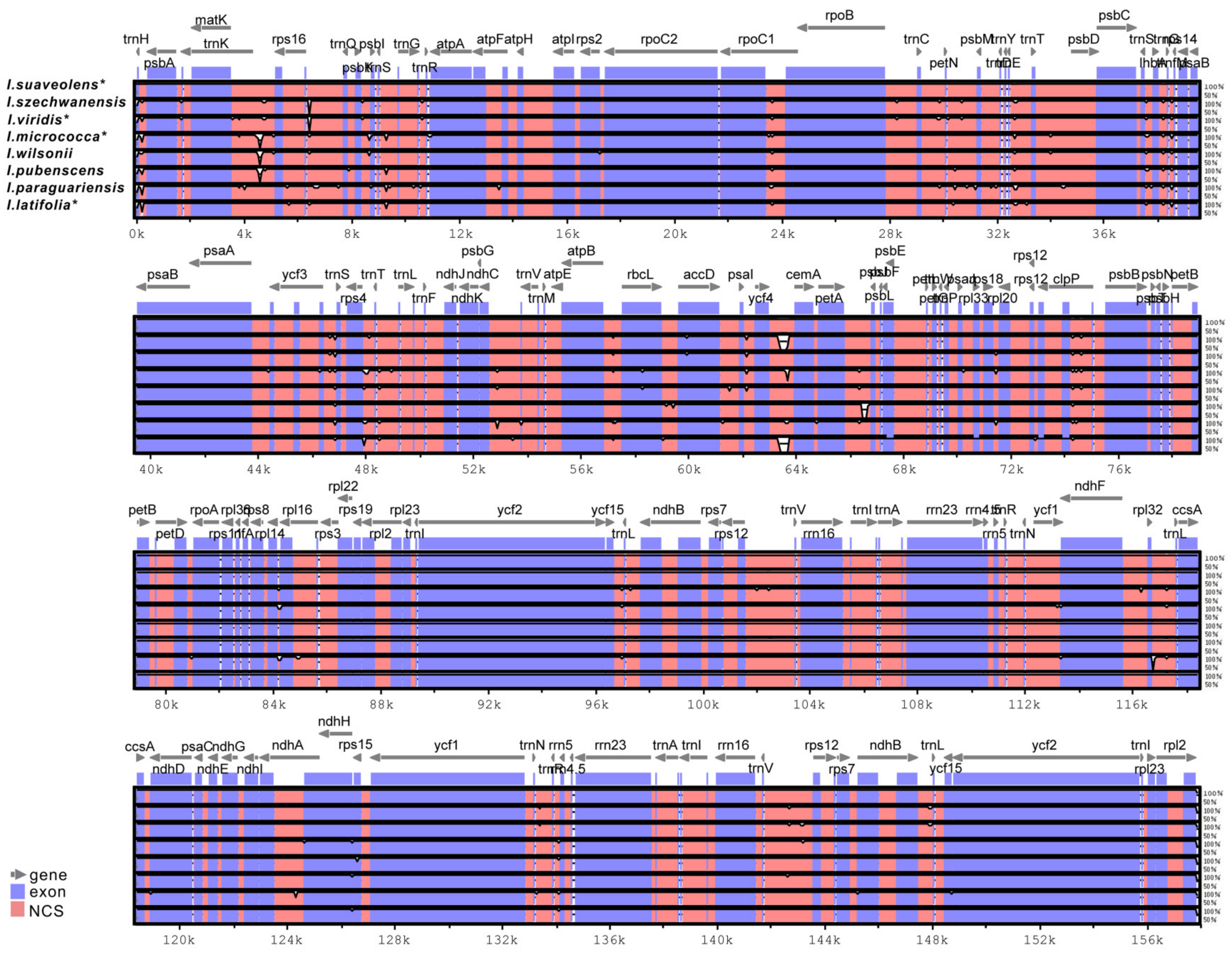 Forests 11 00964 g004 Forests 11 00964 g004