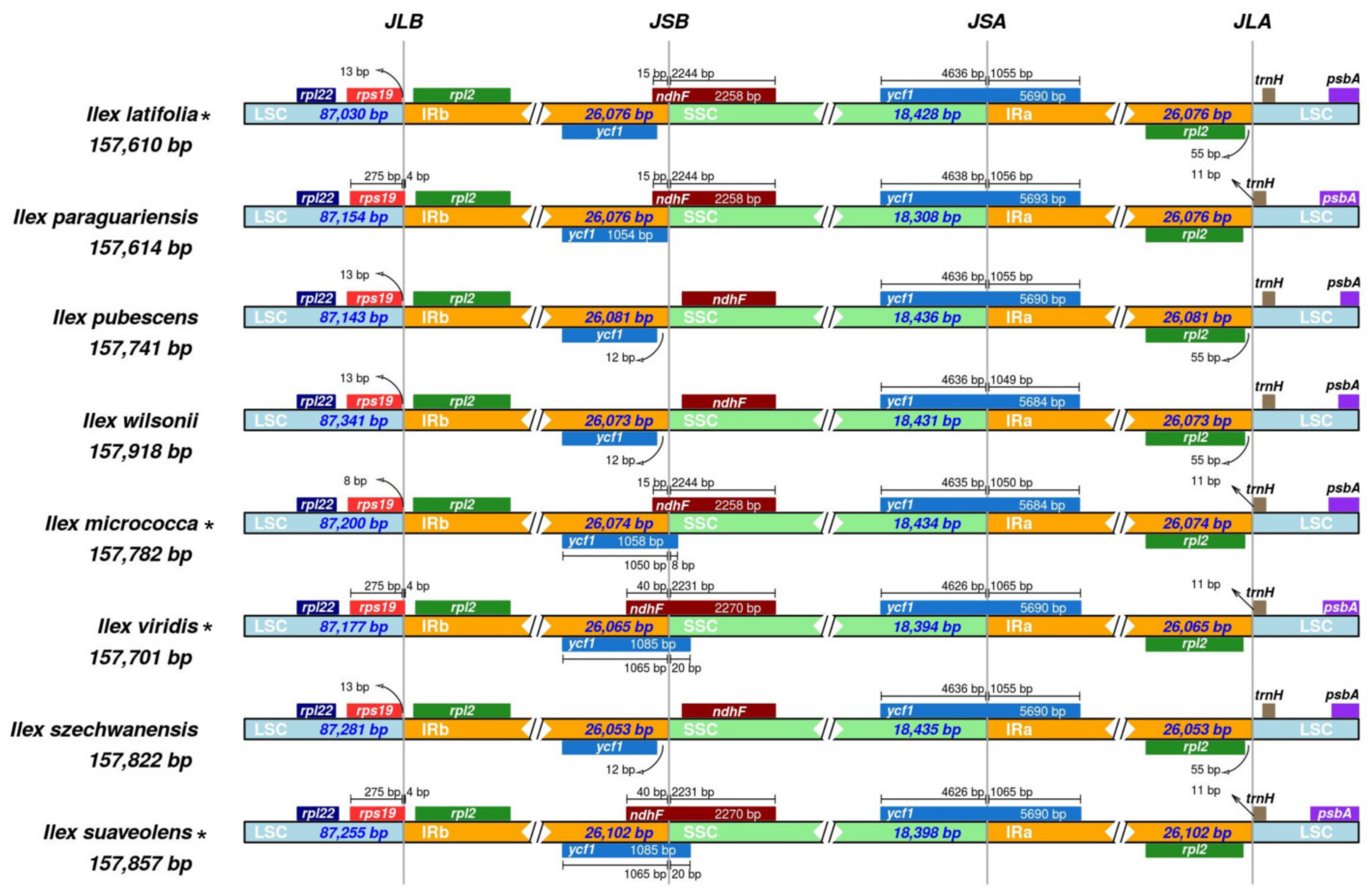 Forests 11 00964 g005 Forests 11 00964 g005