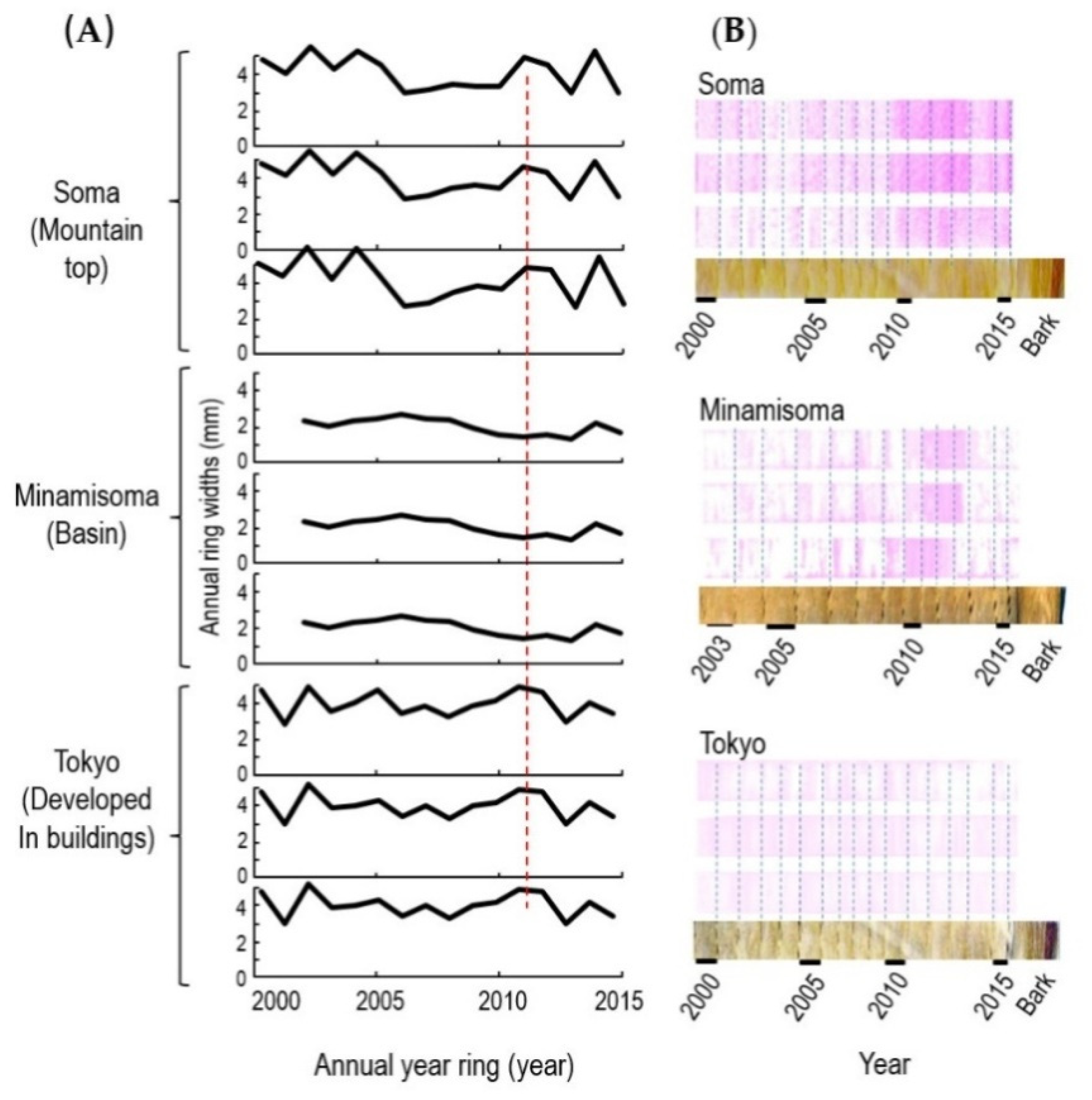 Forests 11 00966 g002 Forests 11 00966 g002
