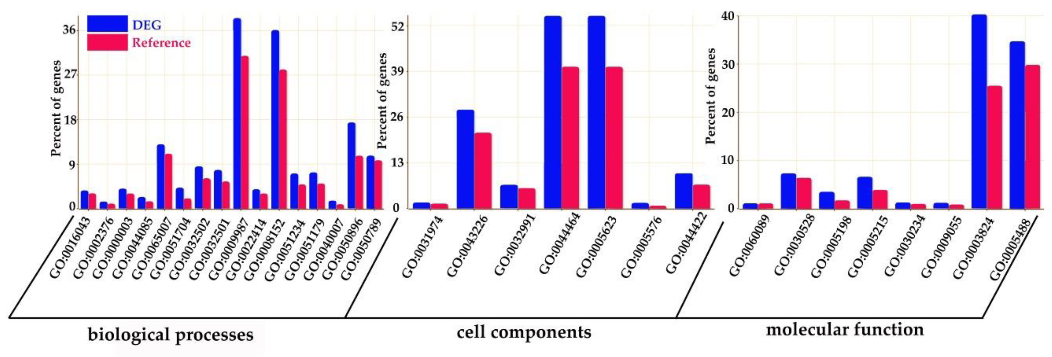 Forests 11 00970 g001