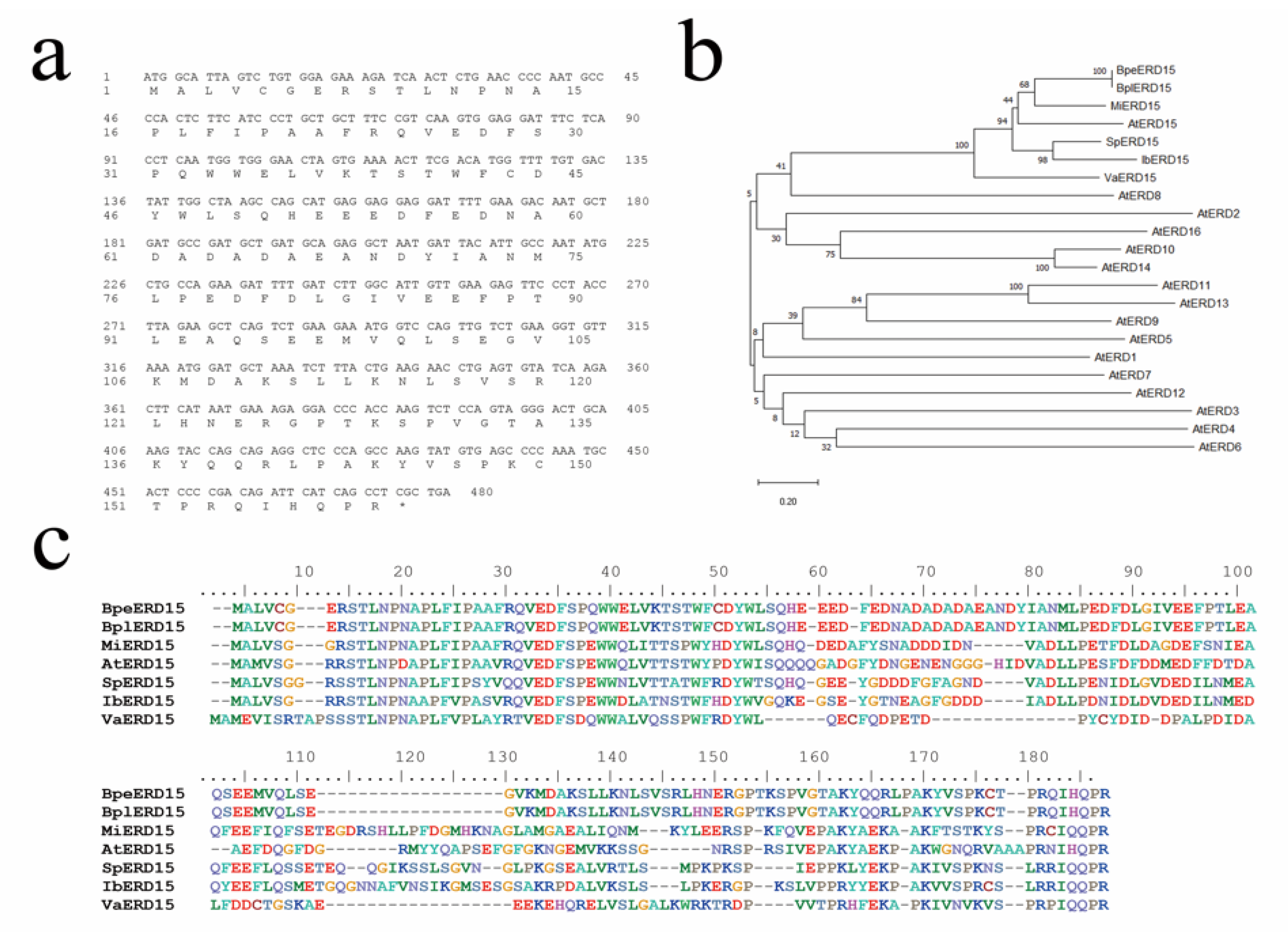 Forests 11 00978 g001 Forests 11 00978 g001