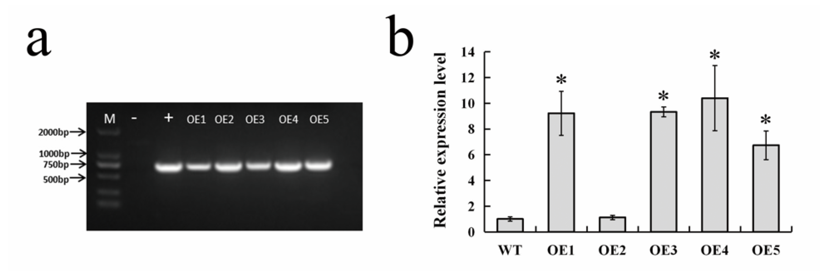 Forests 11 00978 g003 Forests 11 00978 g003