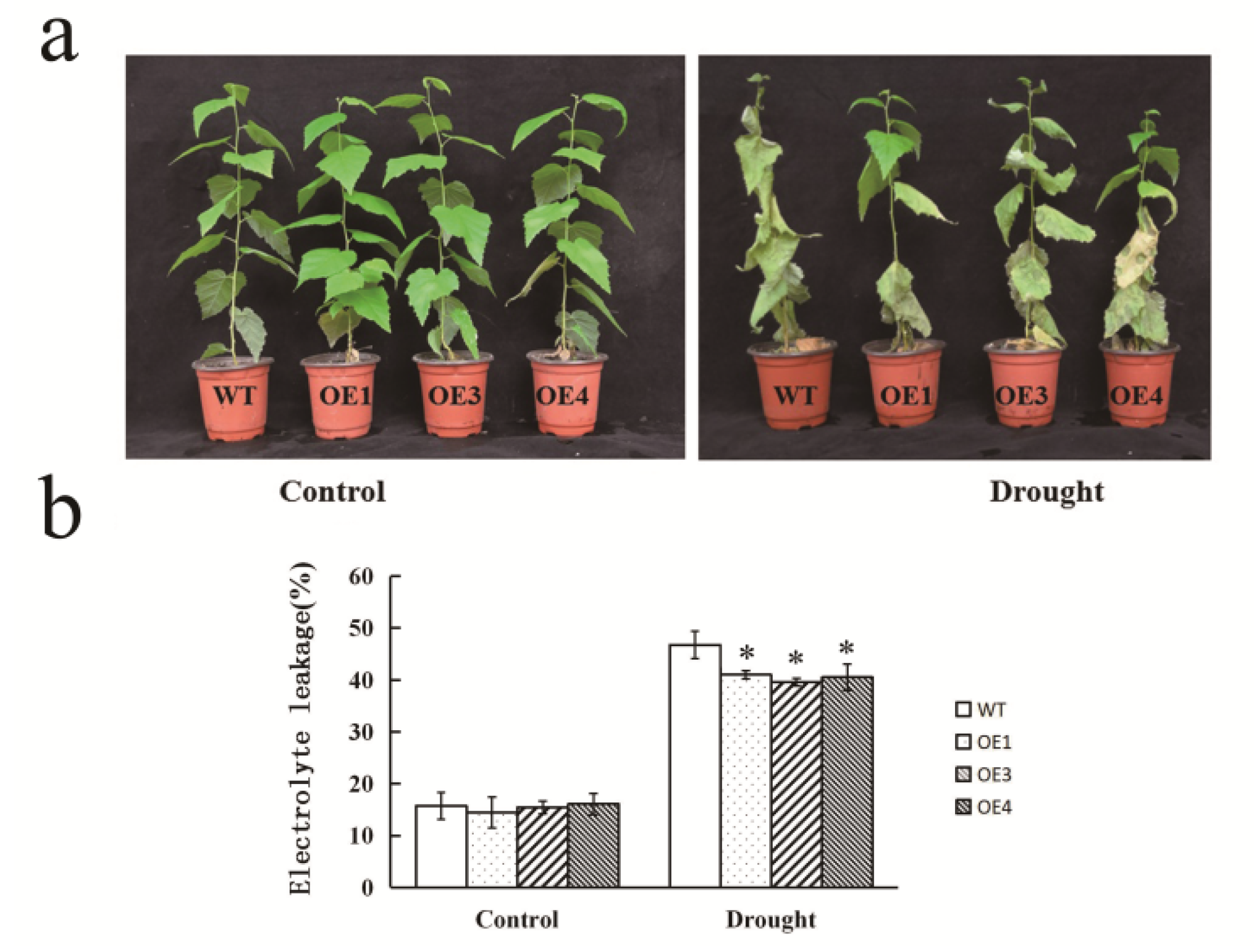 Forests 11 00978 g004 Forests 11 00978 g004