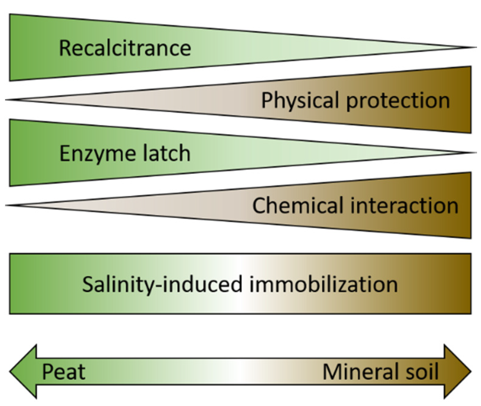 Forests 11 00981 g001 Forests 11 00981 g001