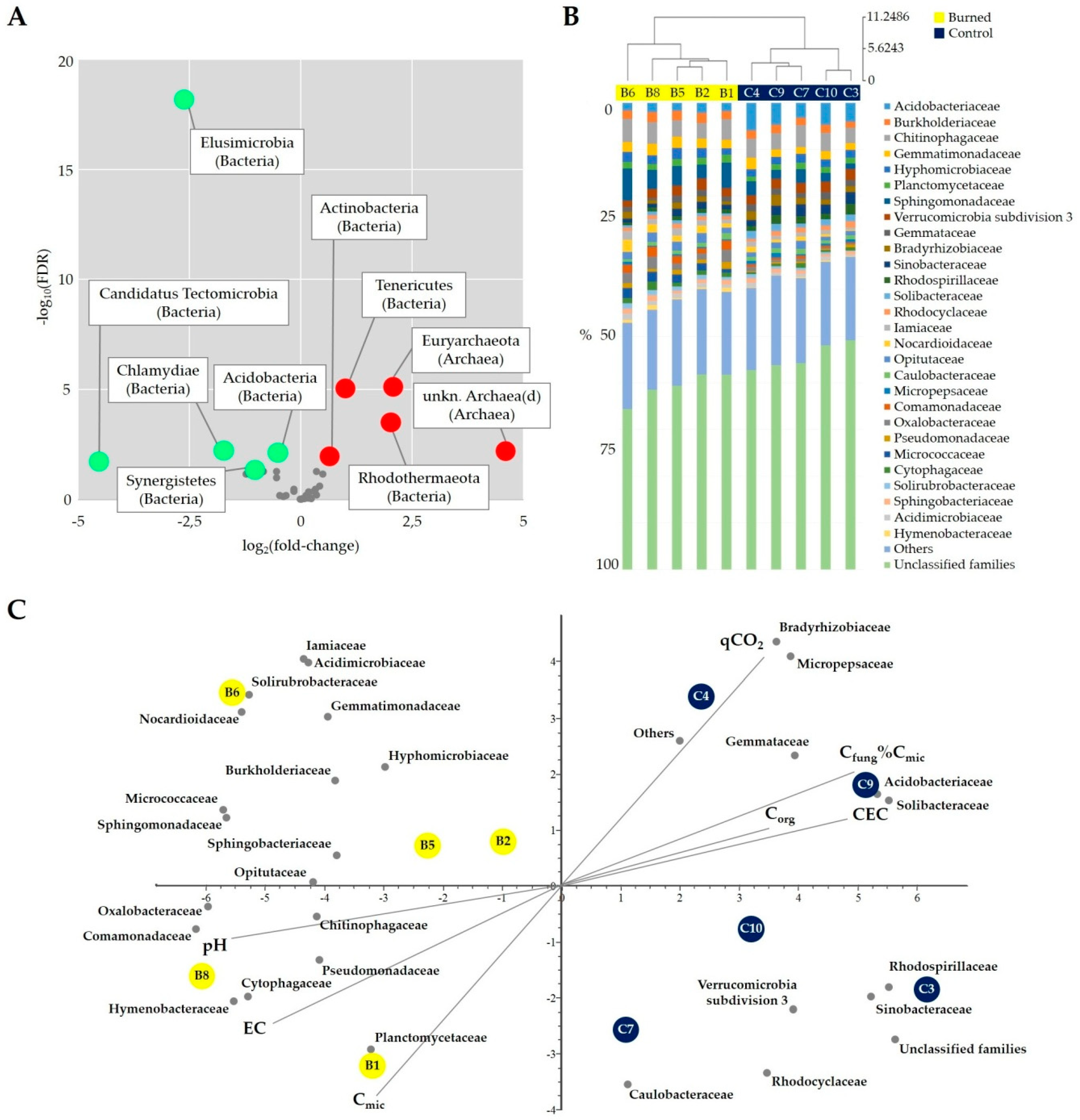 Forests 11 00983 g008