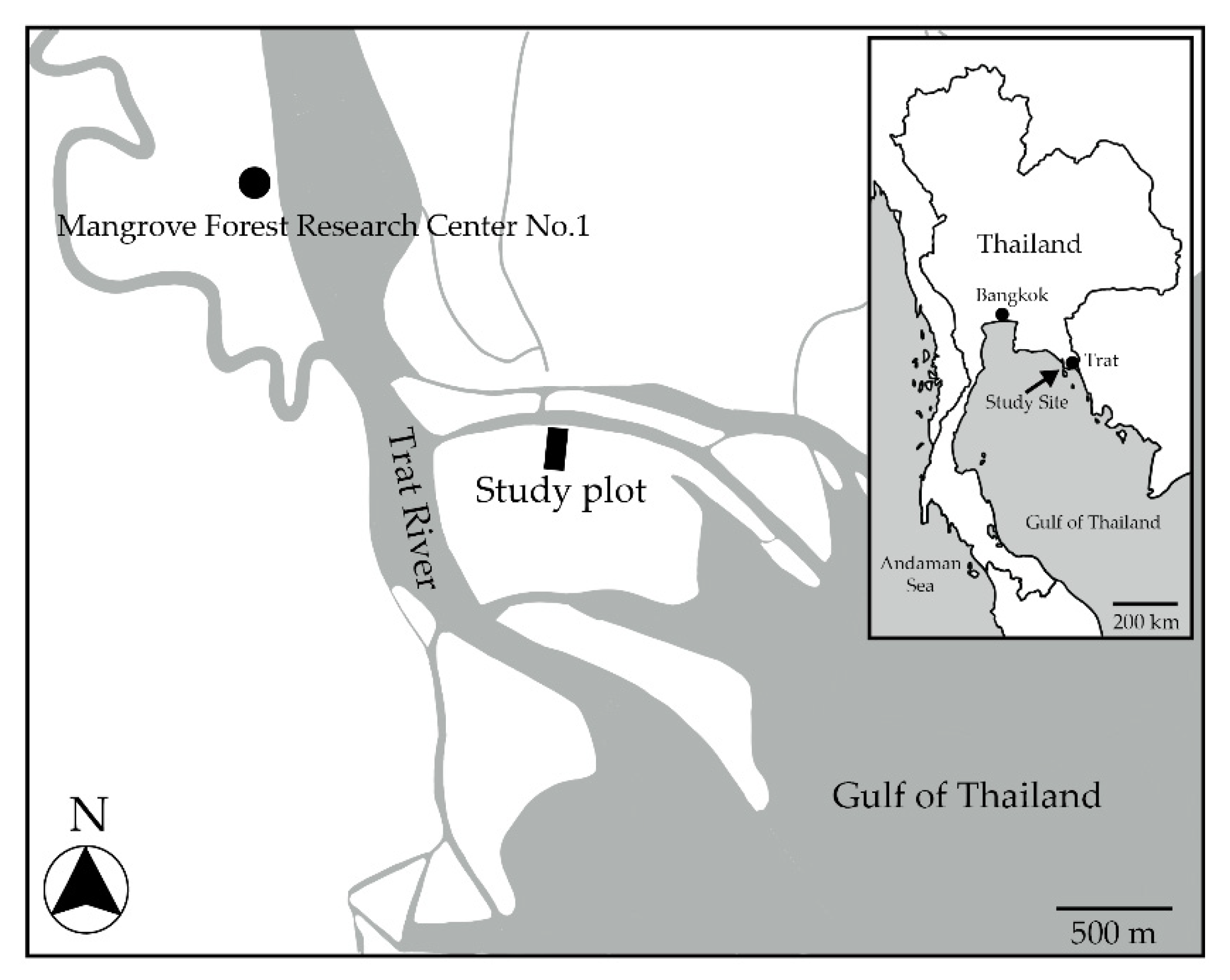 Forests 11 00987 g001 Forests 11 00987 g001