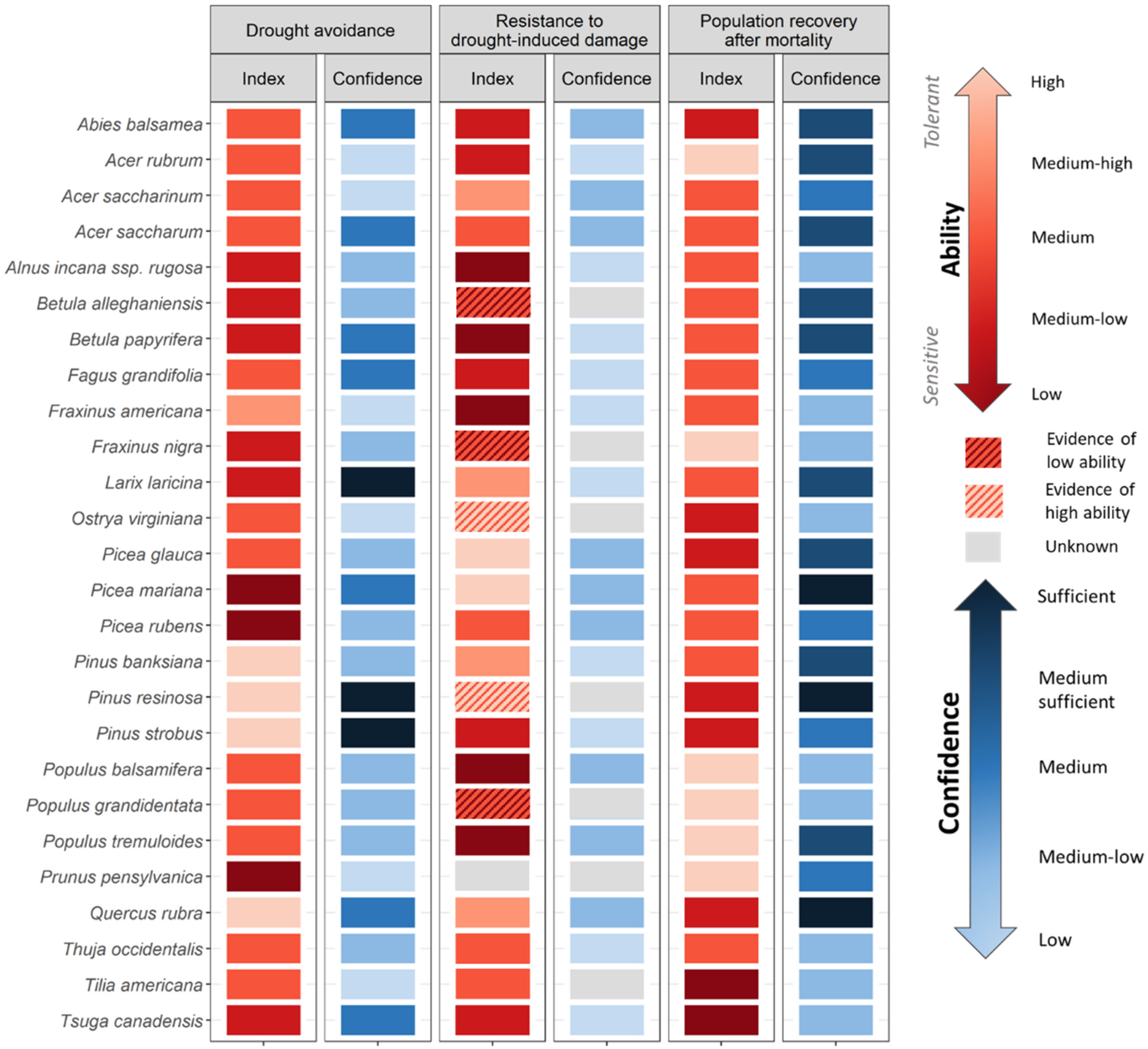 Forests 11 00989 g002
