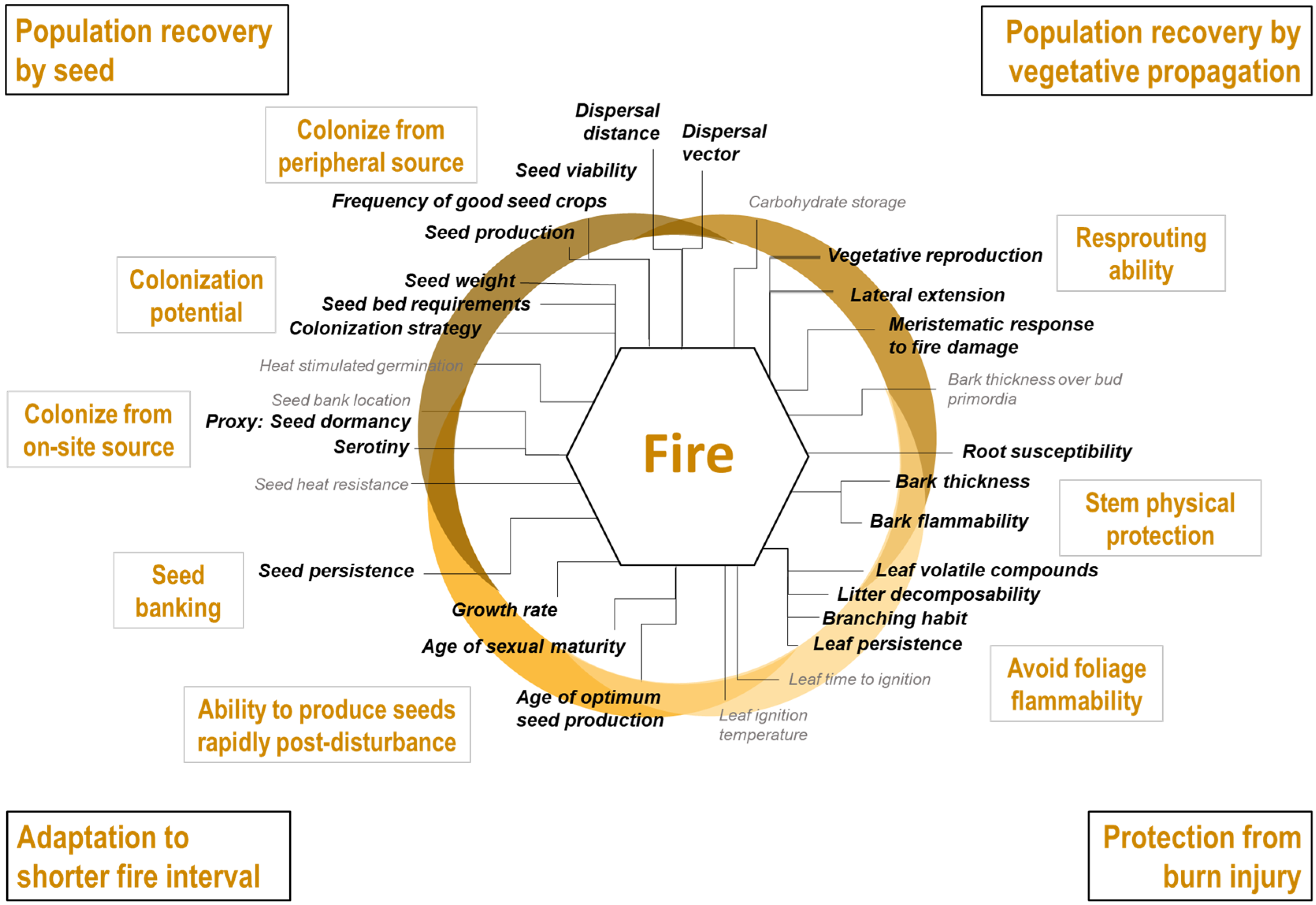 Forests 11 00989 sch003