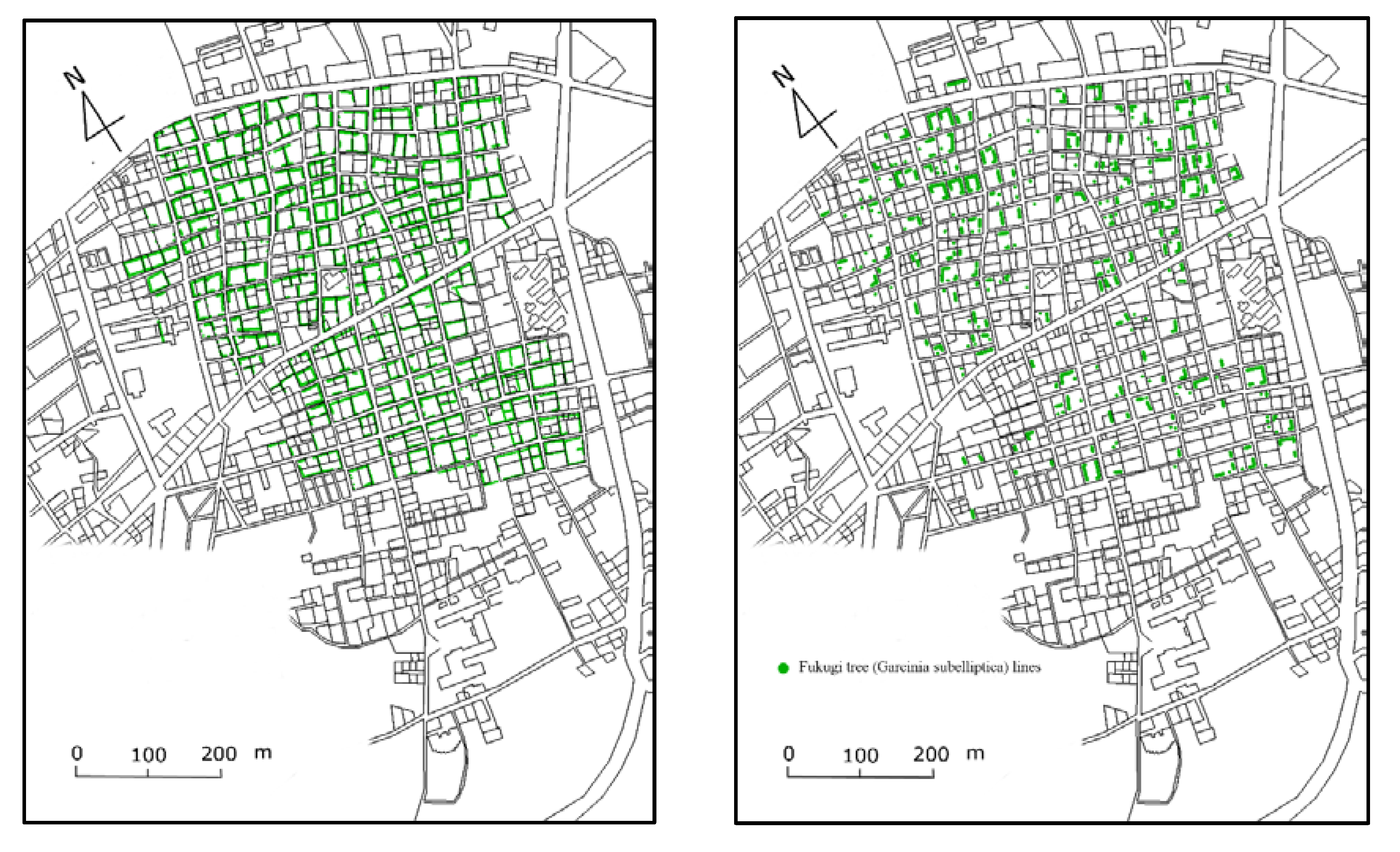 Forests 11 00990 g005