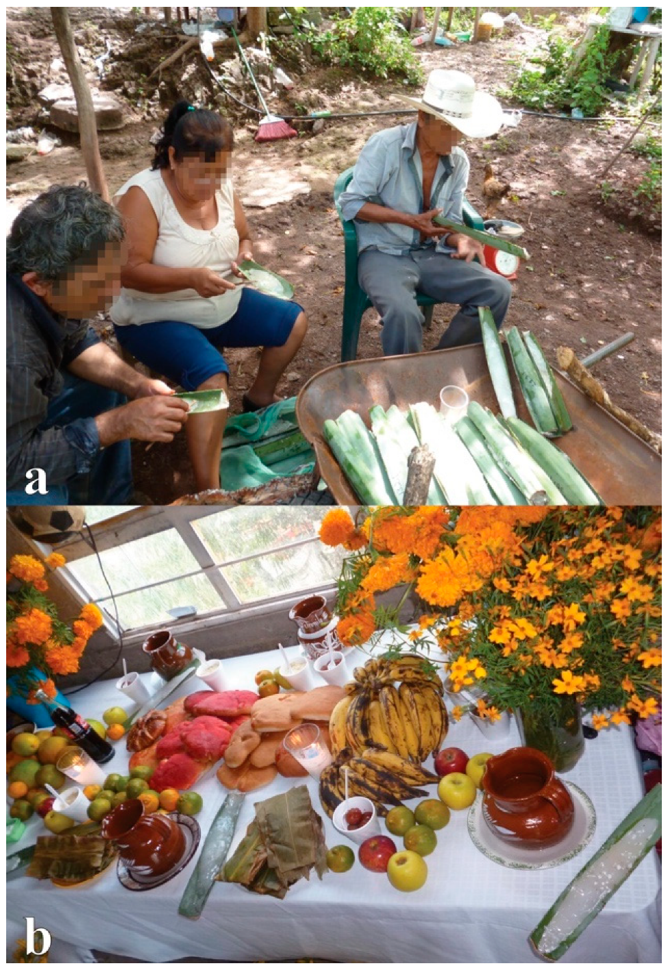 Forests 11 00991 g007 Forests 11 00991 g007