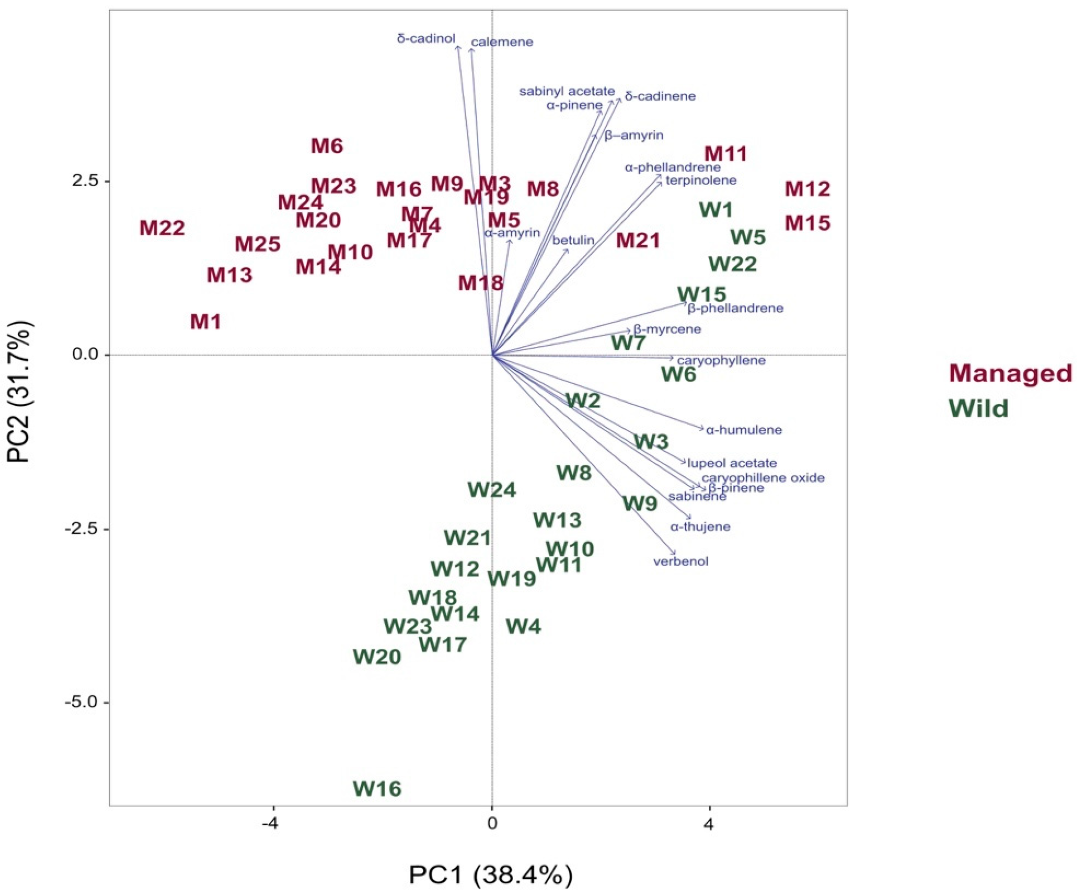 Forests 11 00991 g008 Forests 11 00991 g008