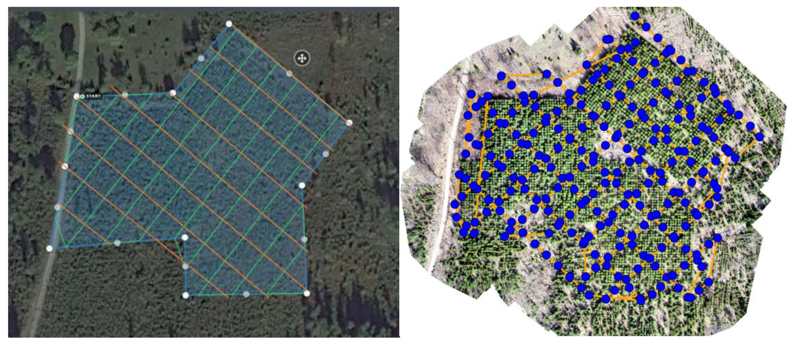 Forests 11 00992 g001