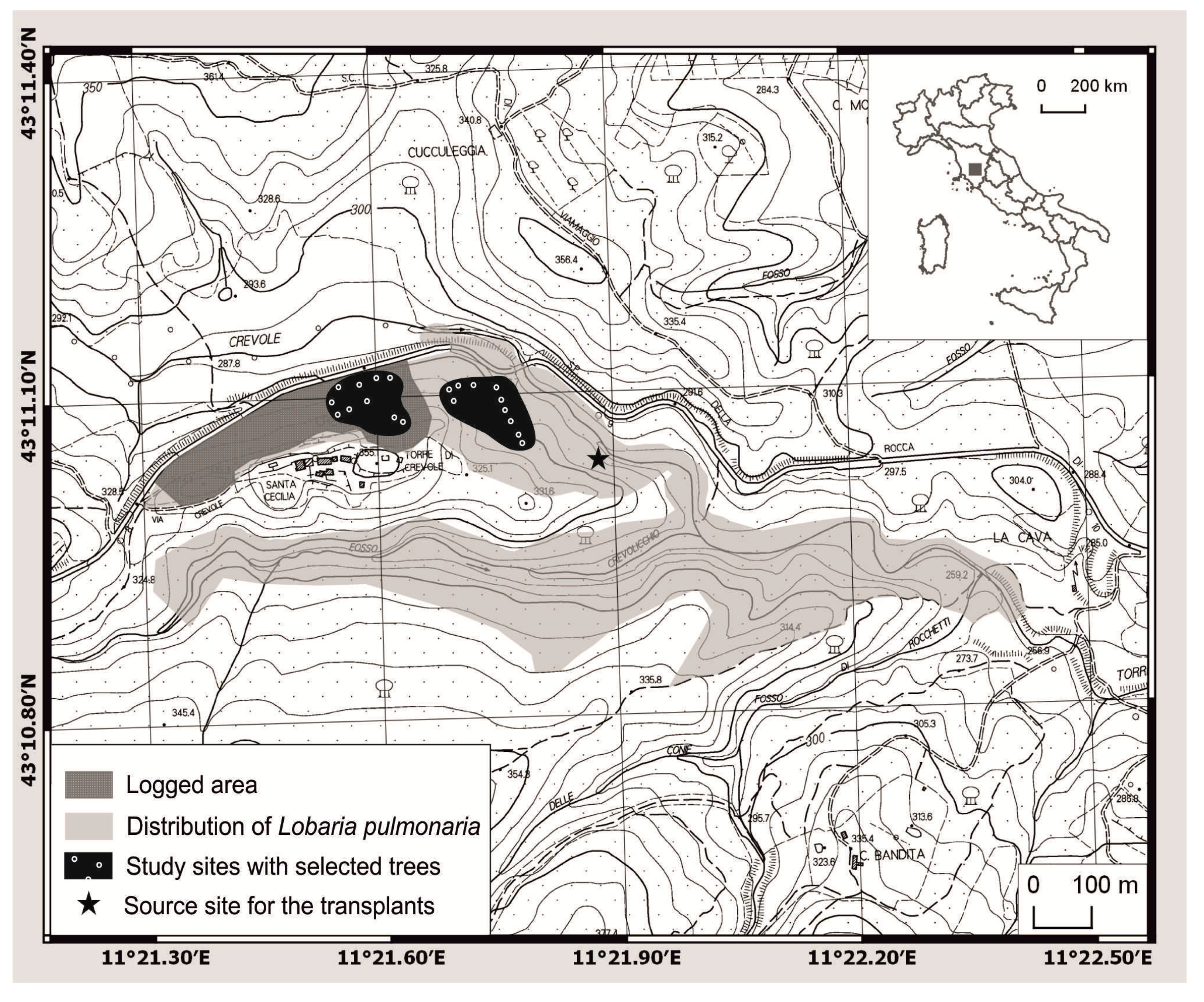 Forests 11 00995 g001