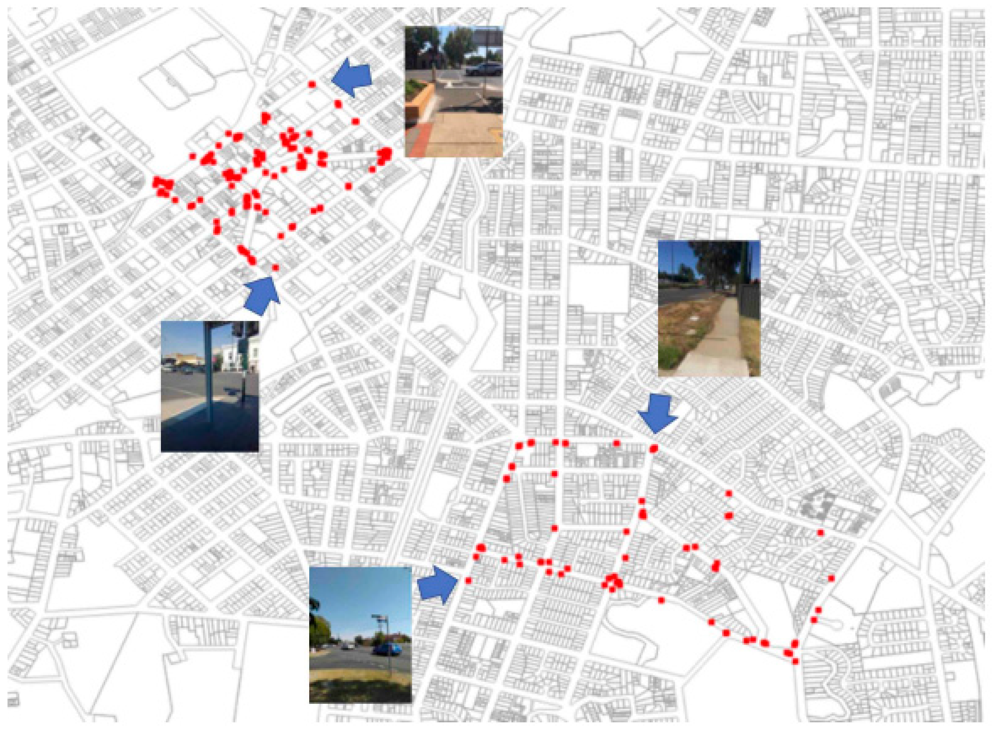 Forests 11 00998 g006 Forests 11 00998 g006