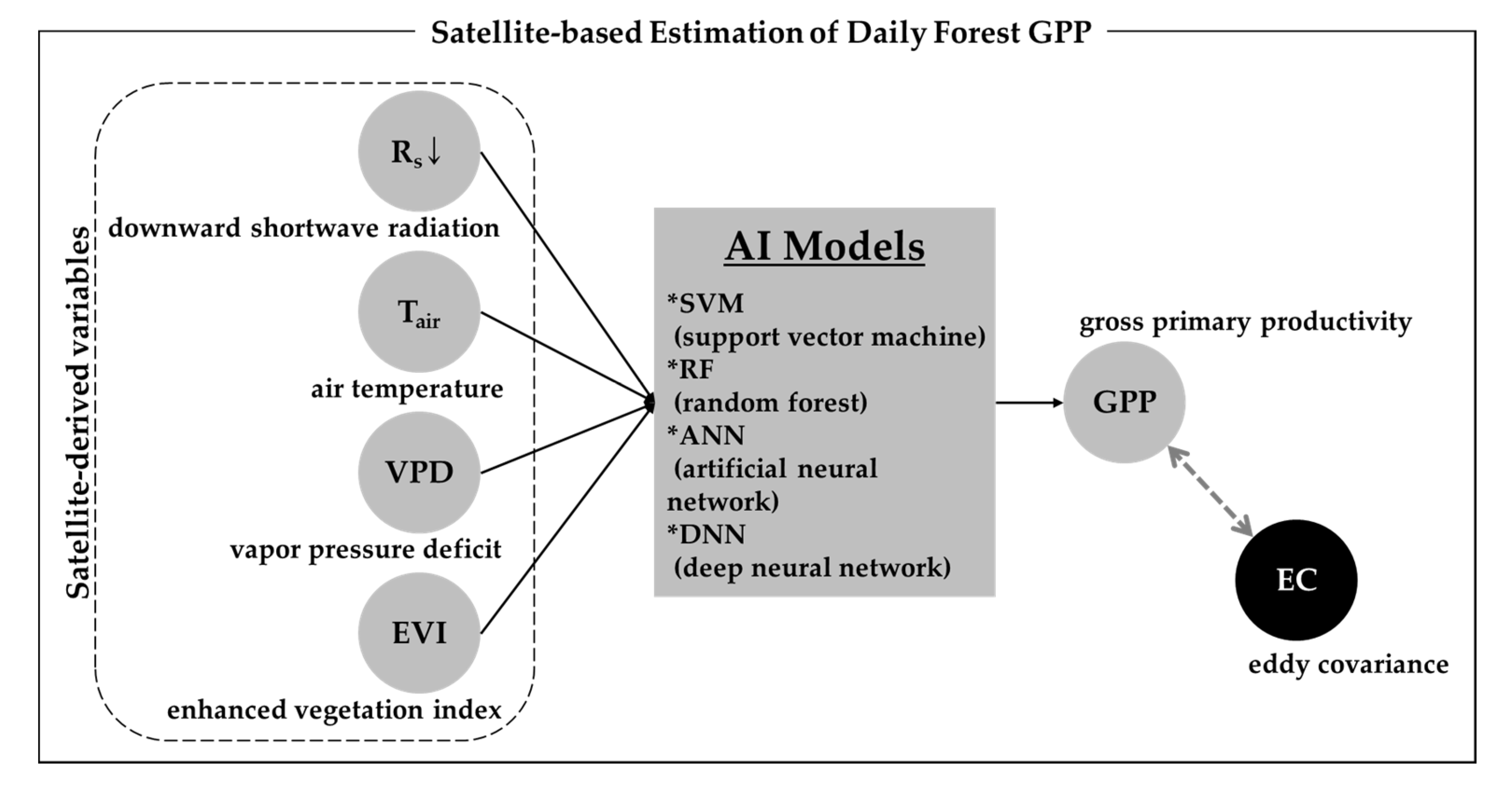 Forests 11 01000 g002