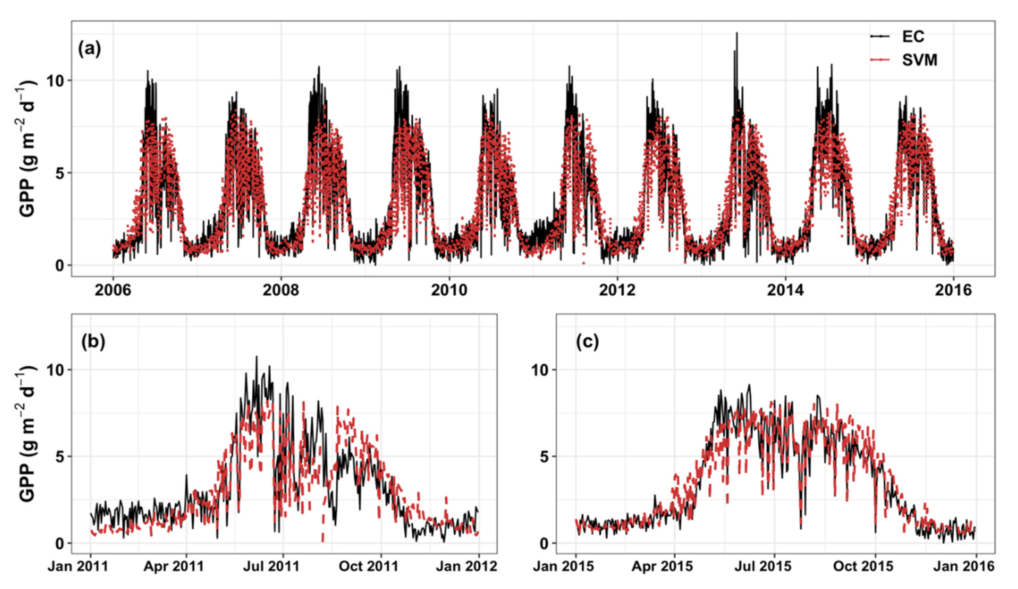 Forests 11 01000 g004
