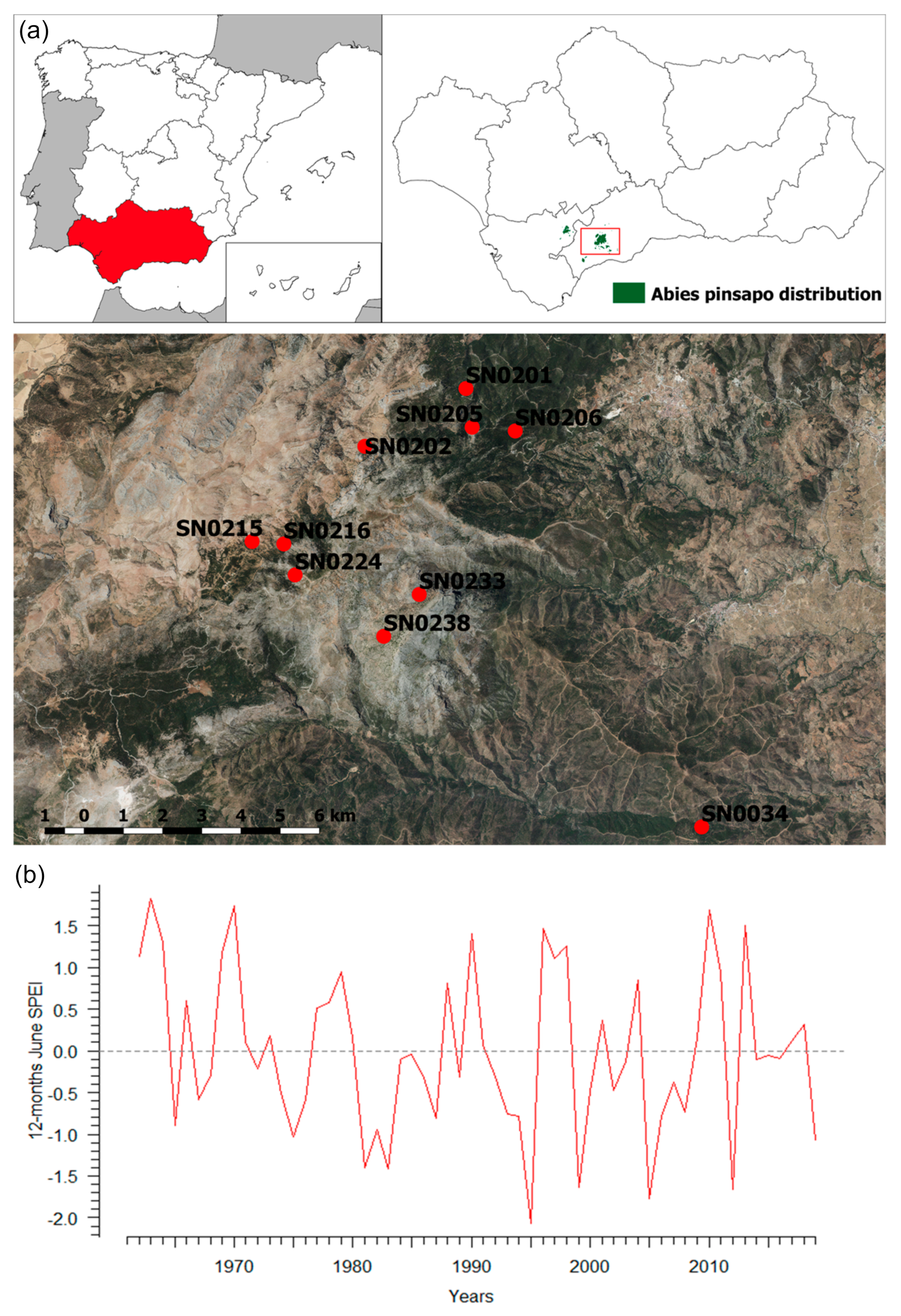Forests 11 01002 g001