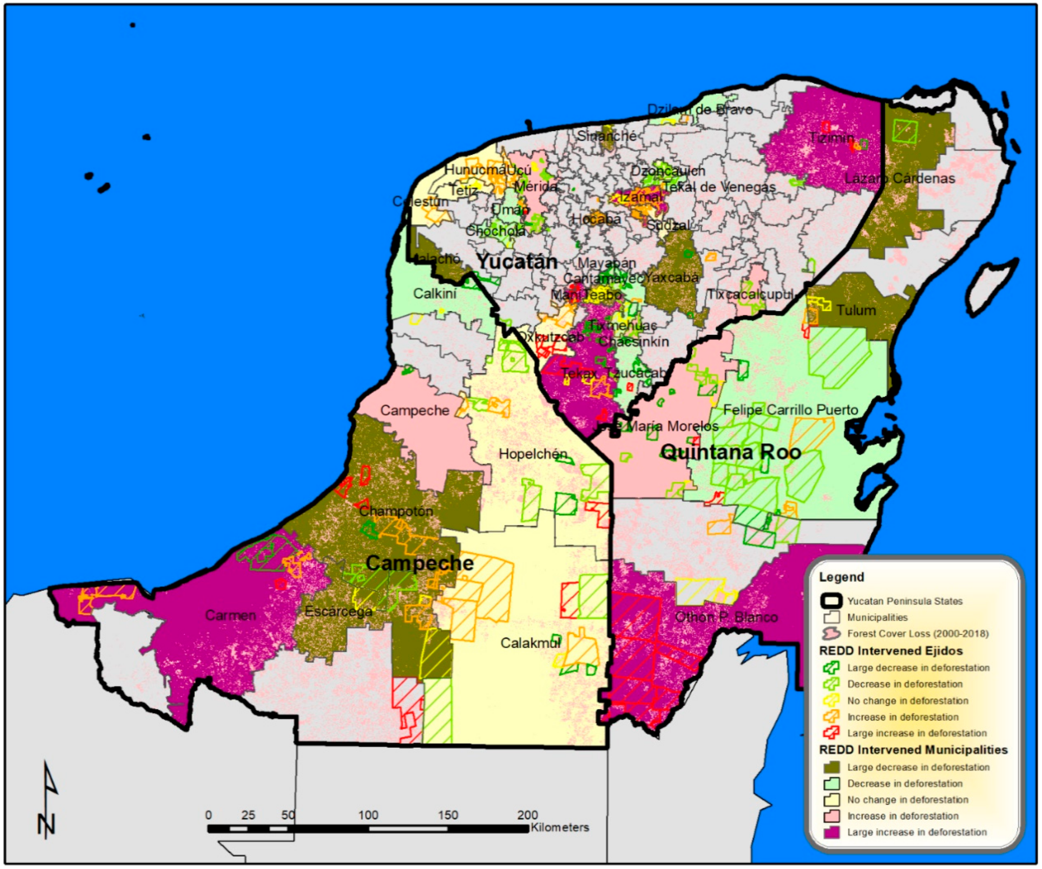 Forests 11 01005 g004