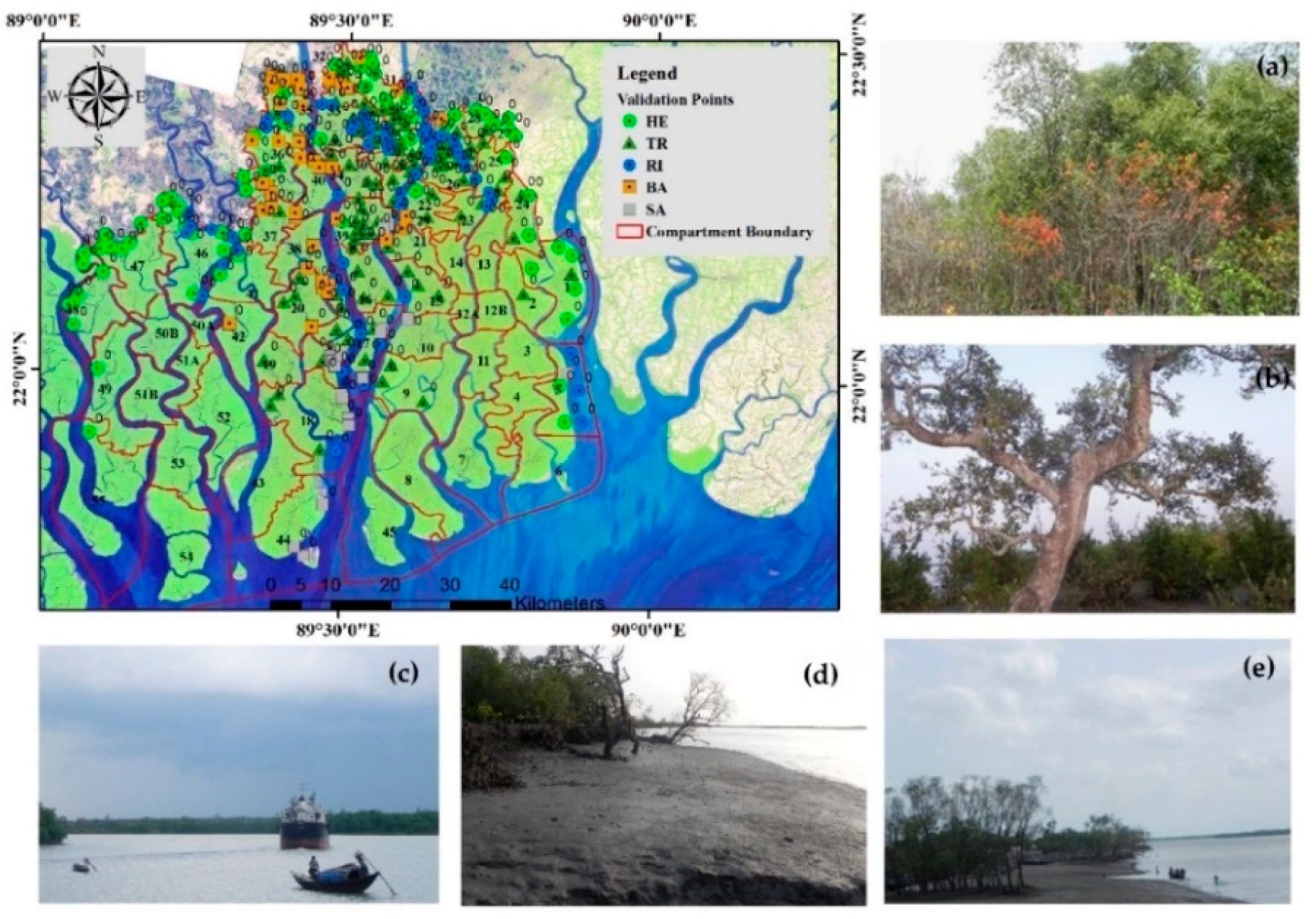 Forests 11 01016 g003 Forests 11 01016 g003