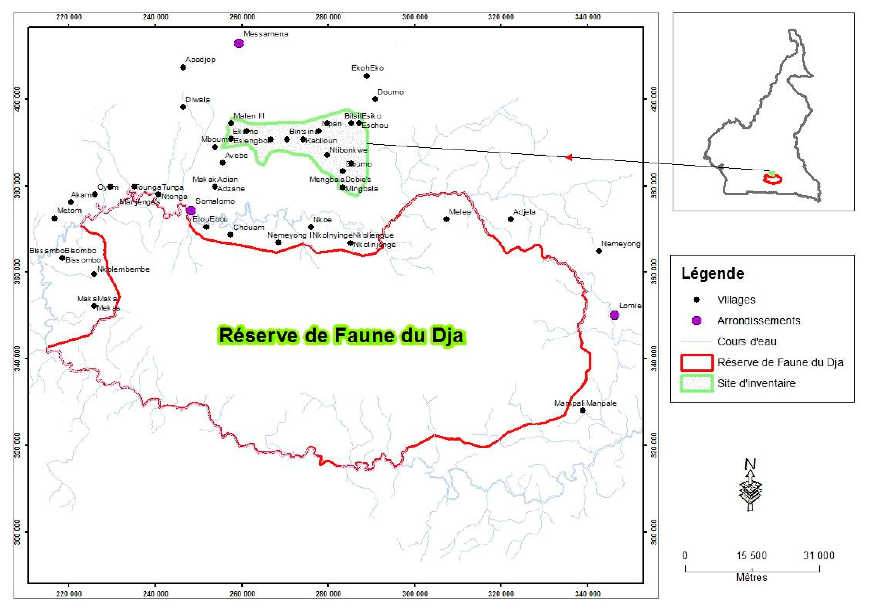Forests 11 01019 g001 Forests 11 01019 g001