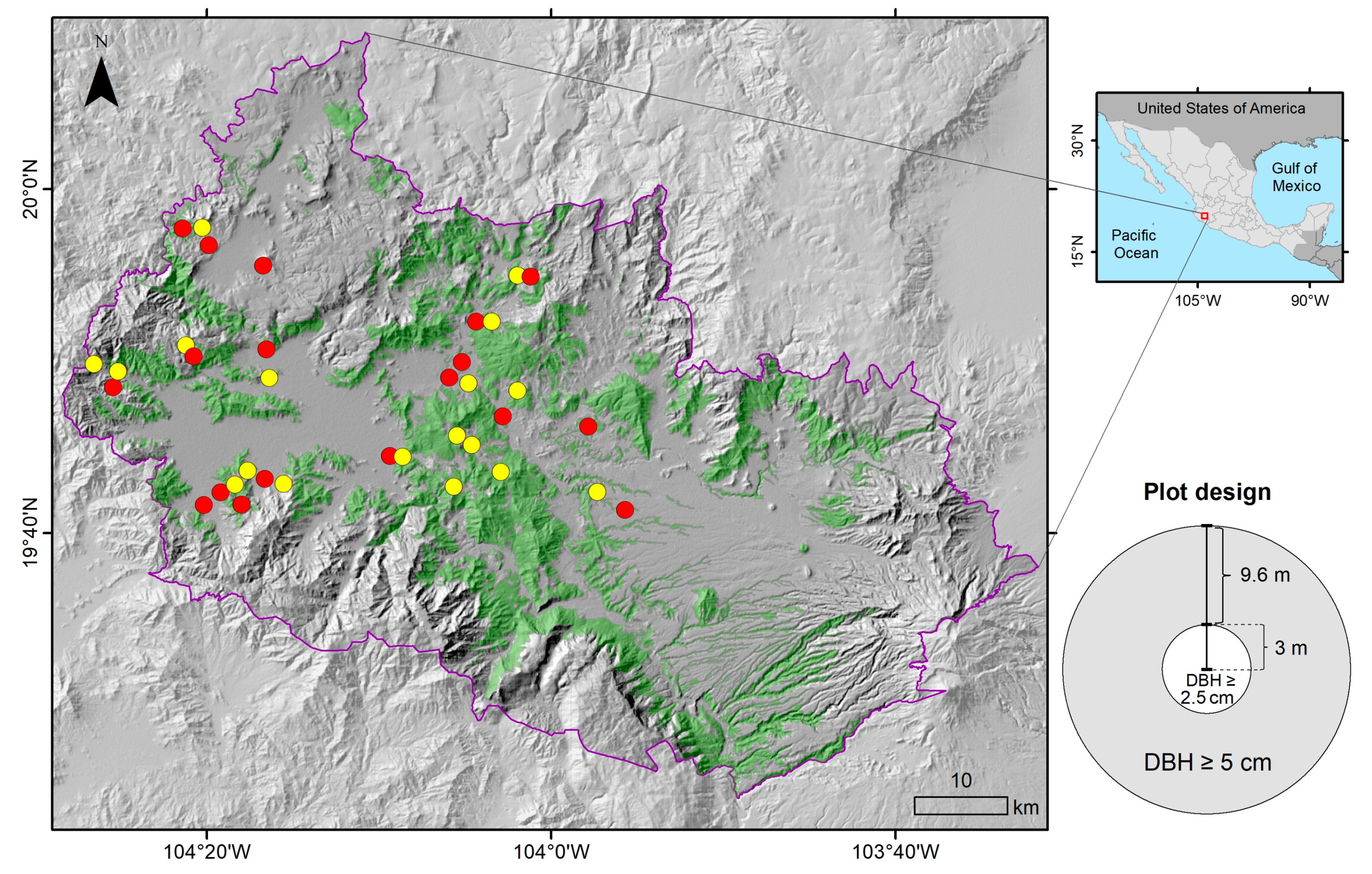 Forests 11 01020 g001 Forests 11 01020 g001