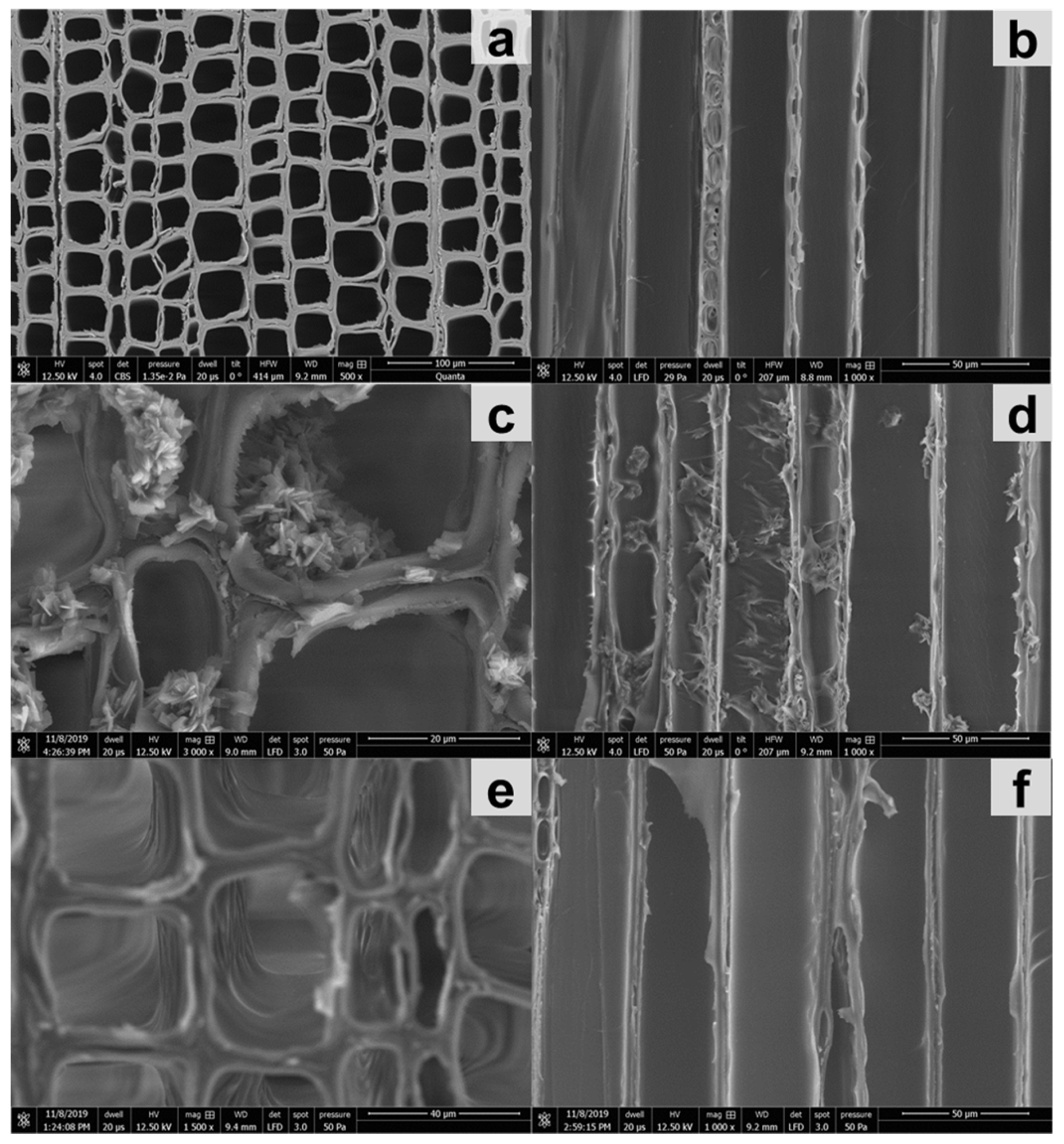Forests 11 01024 g007
