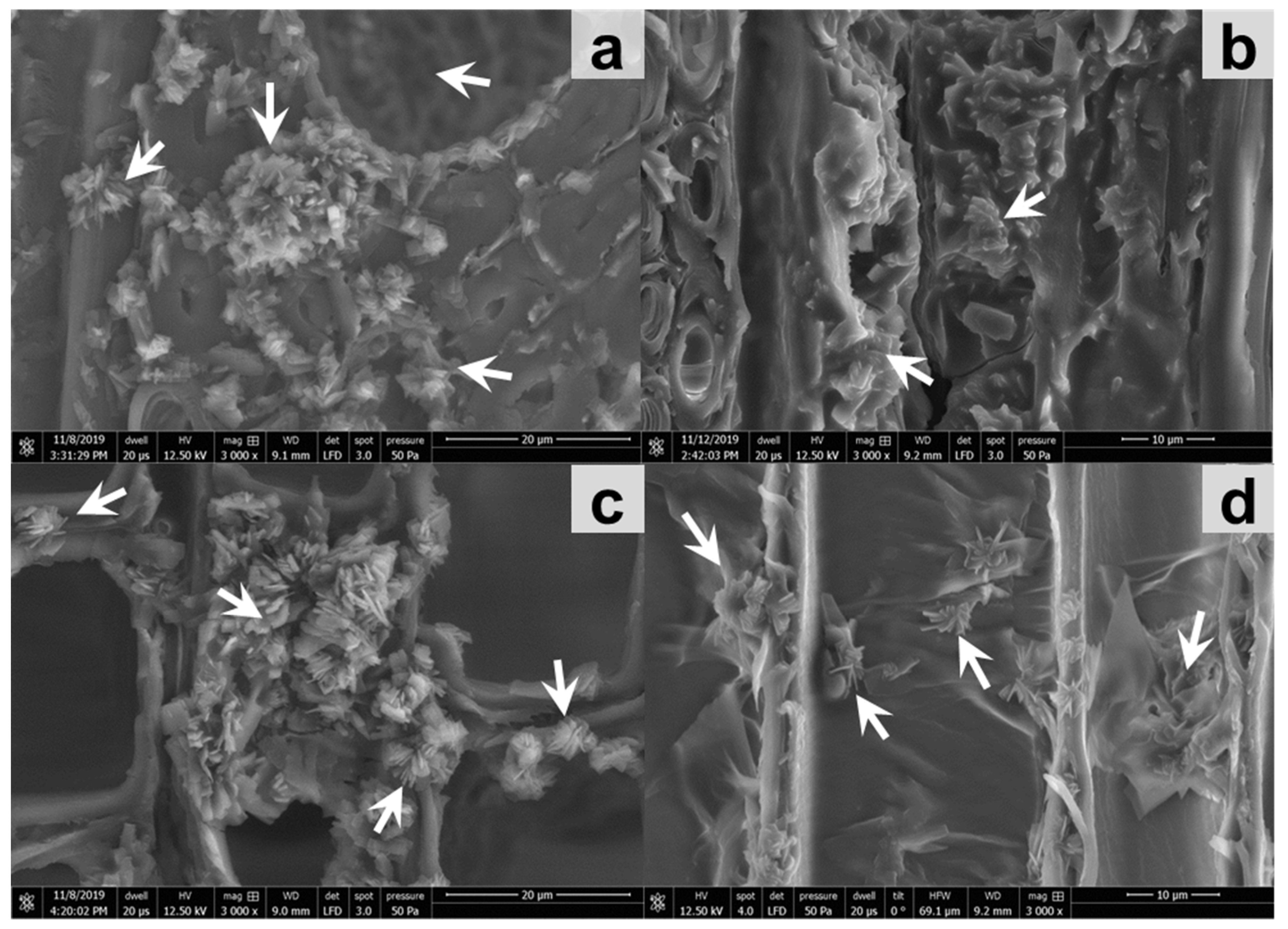 Forests 11 01024 g008