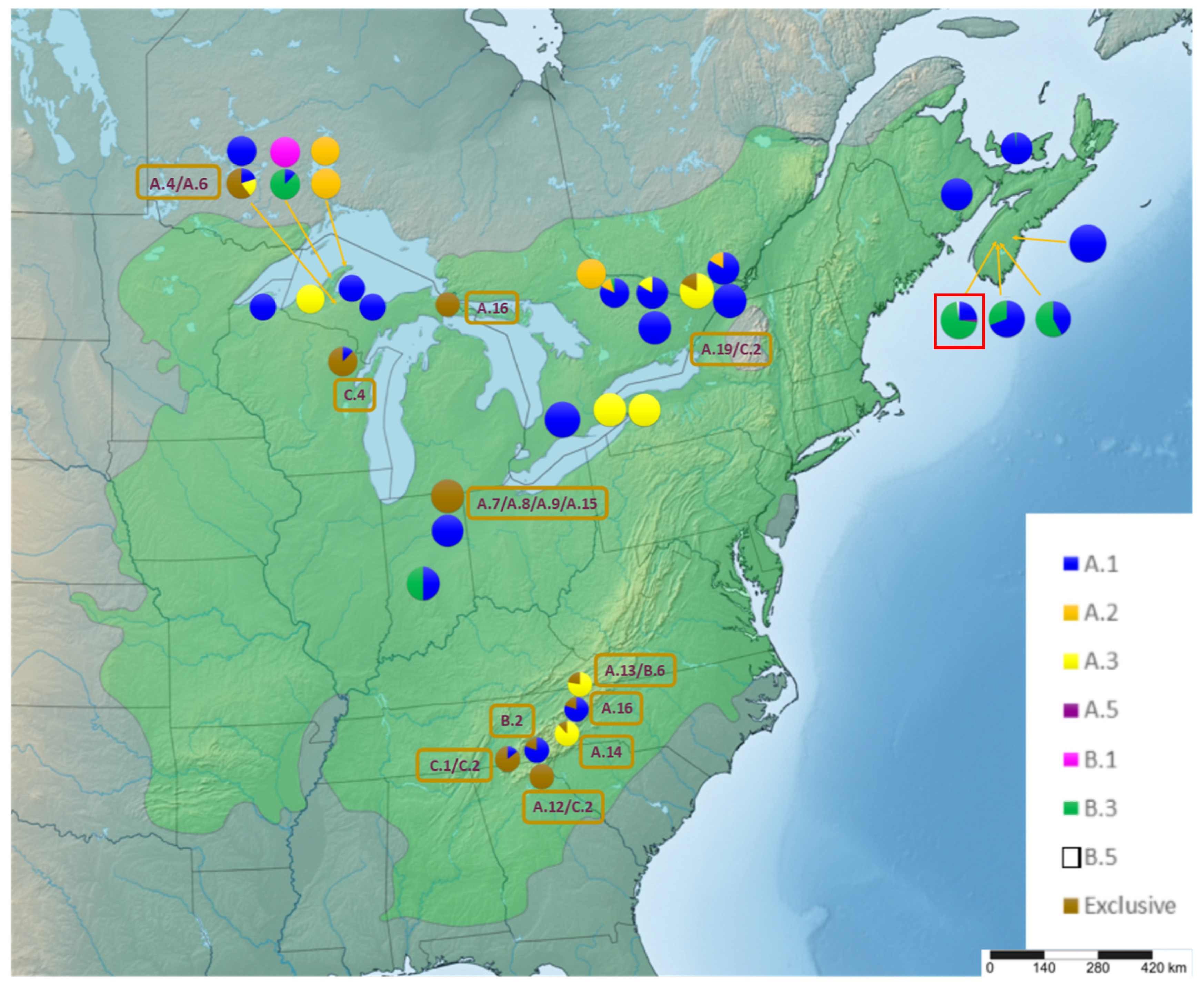 Forests 11 01025 g003