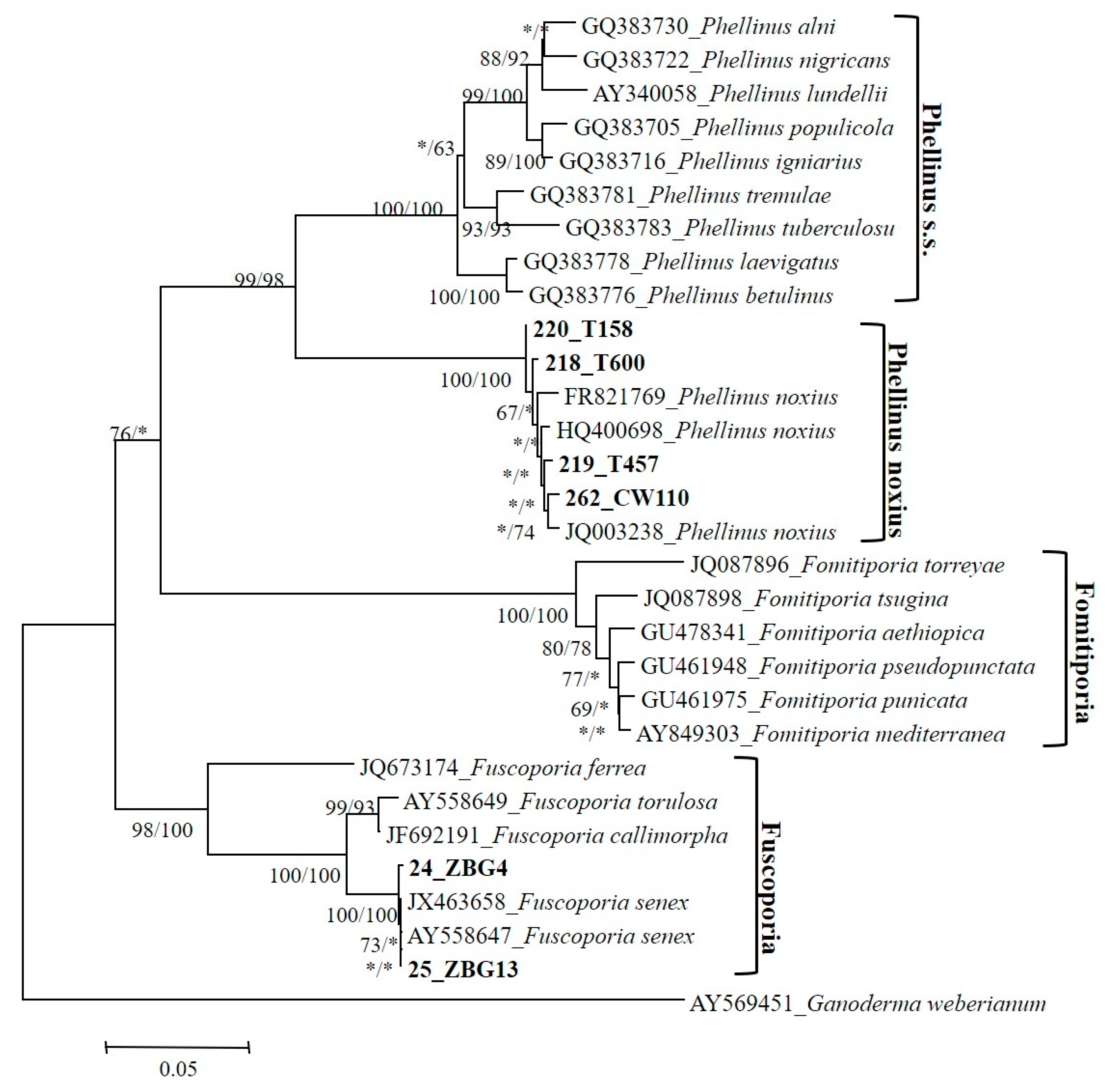 Forests 11 01030 g002
