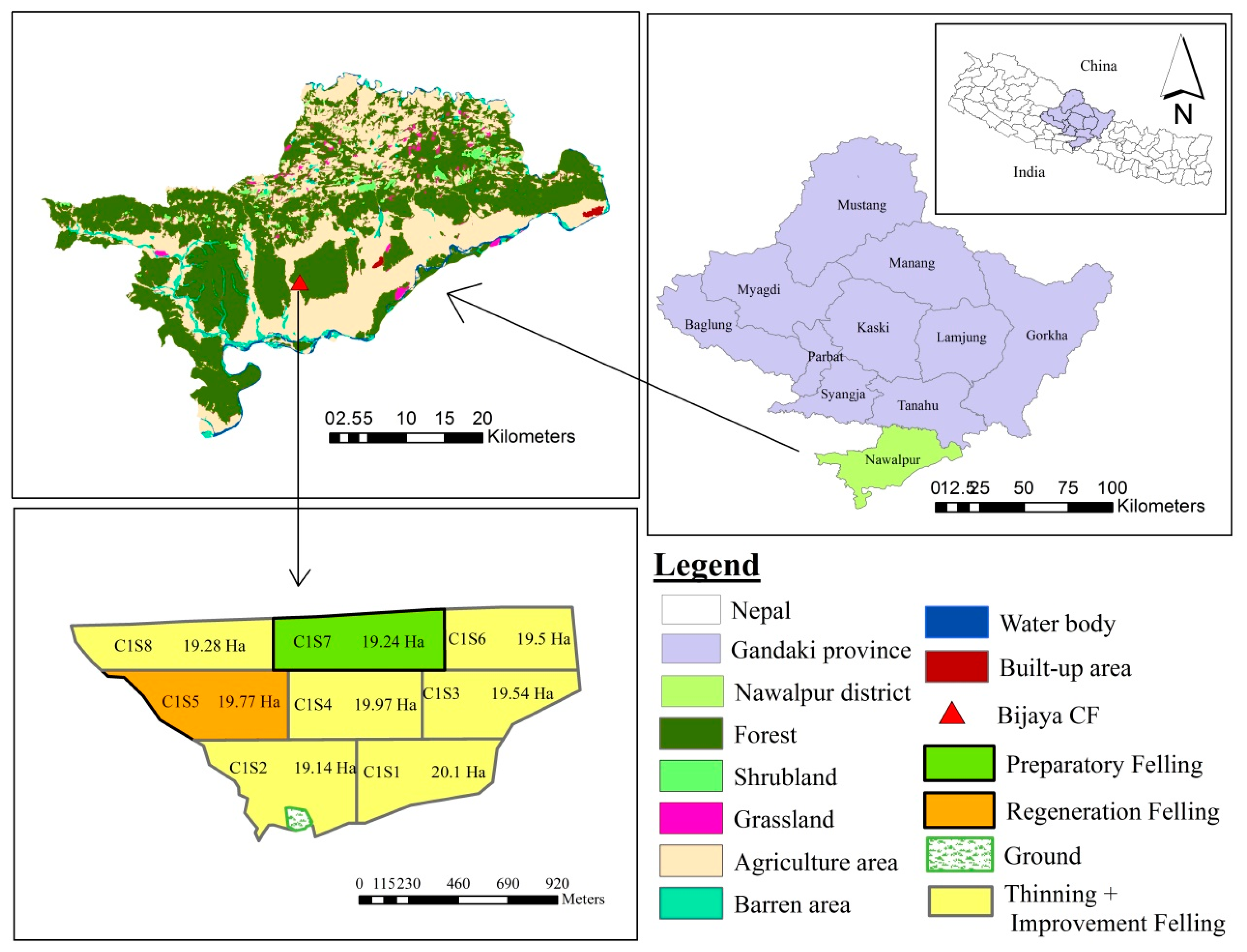 Forests 11 01032 g001