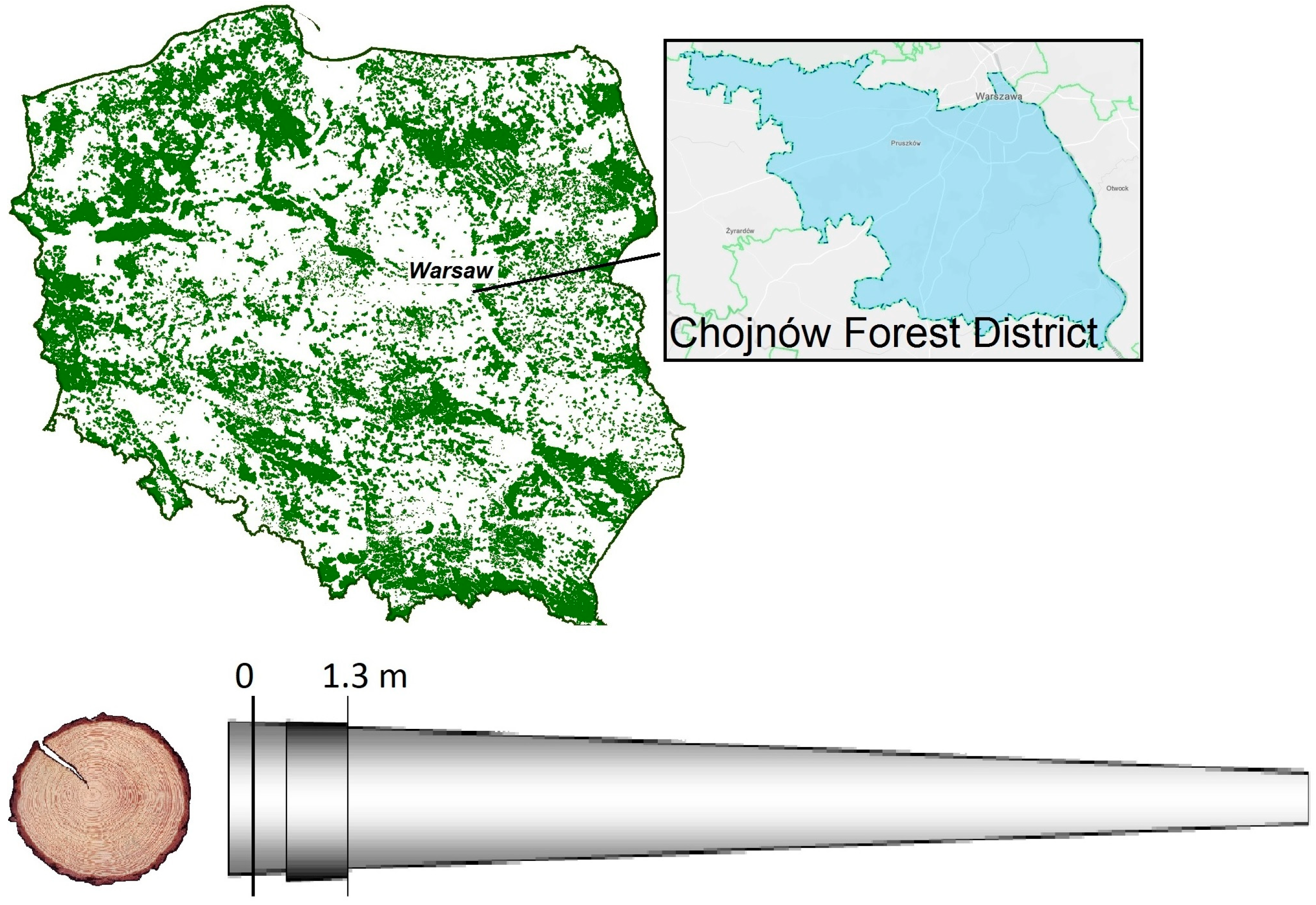 Forests 11 01033 g001