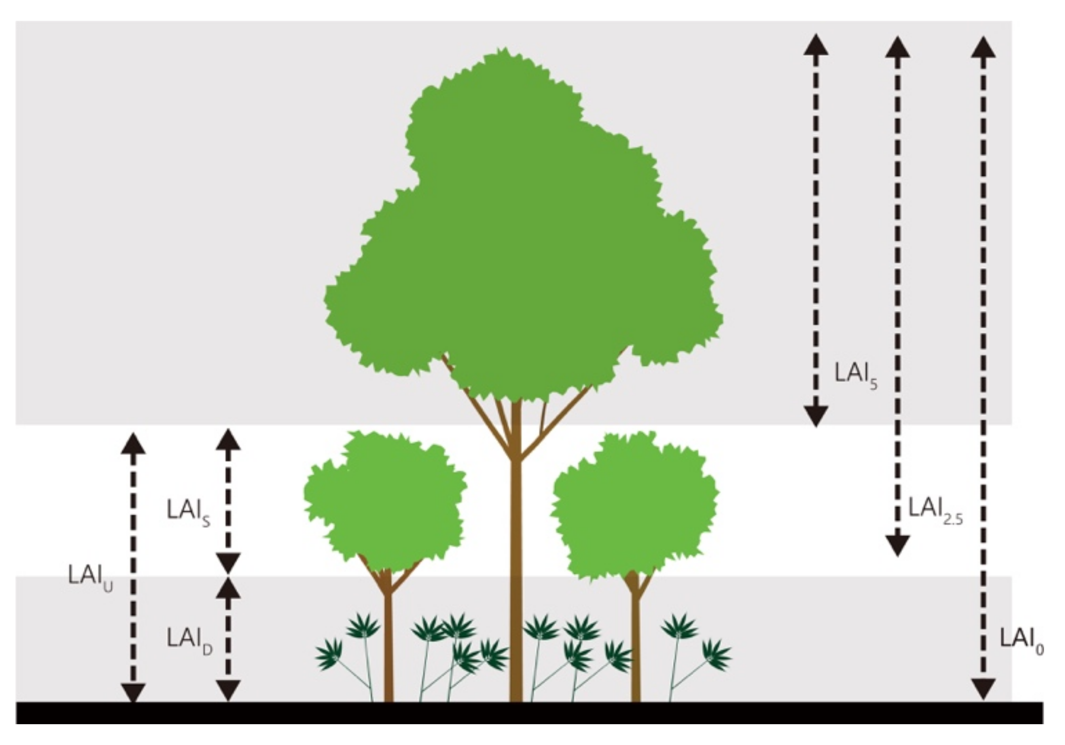Forests 11 01037 g003