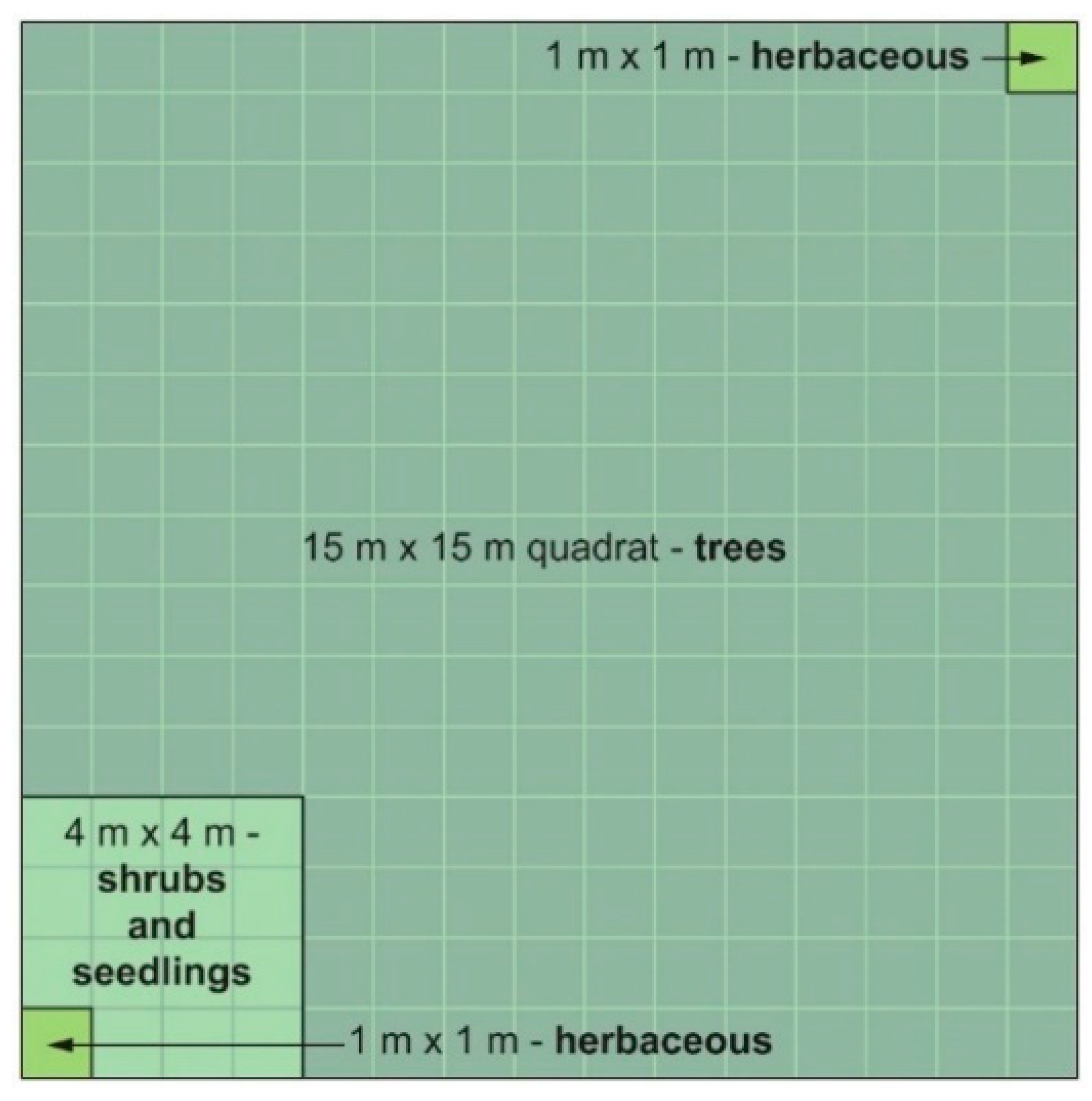 Forests 11 01040 g002 Forests 11 01040 g002