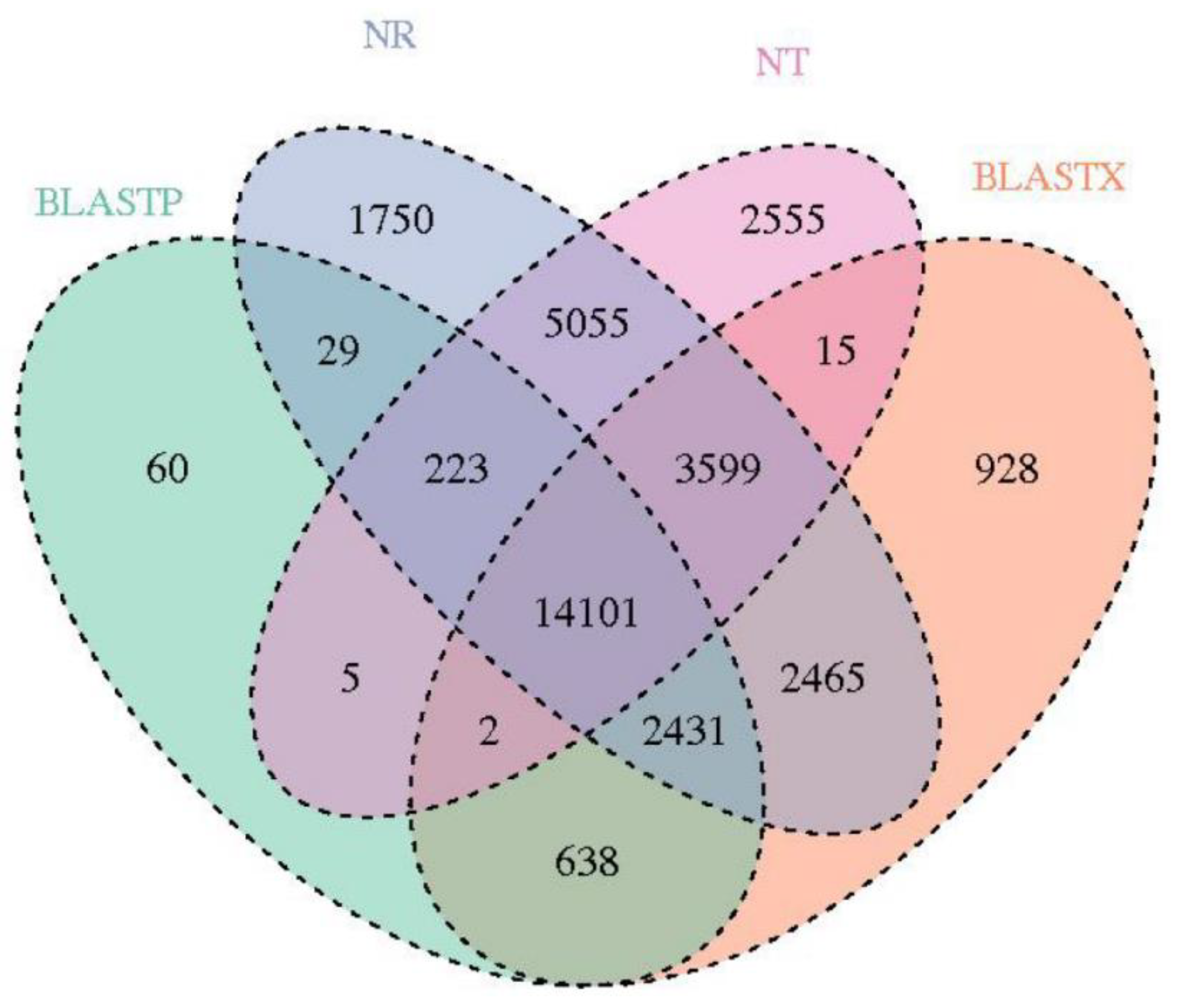 Forests 11 01065 g002 Forests 11 01065 g002